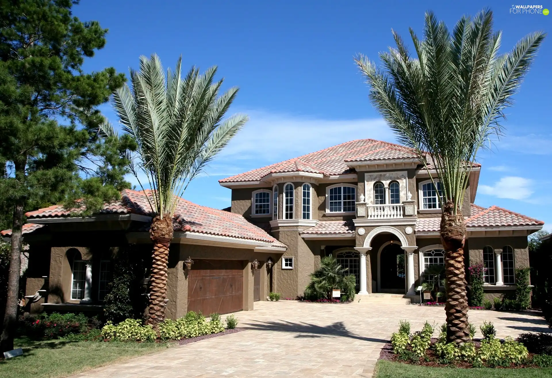 house, Palms, estate, villa
