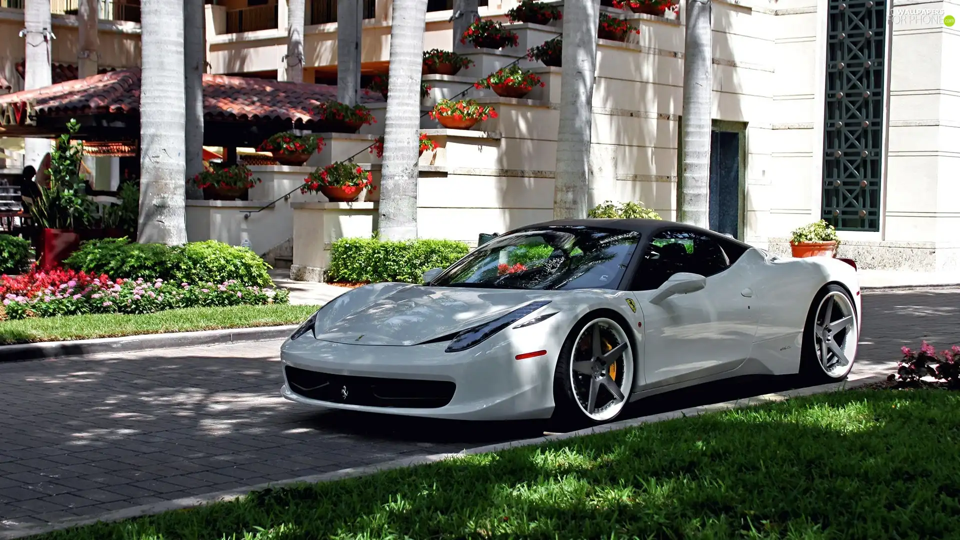 Ferrari, White, house, Flowers, 458 Italia, Automobile