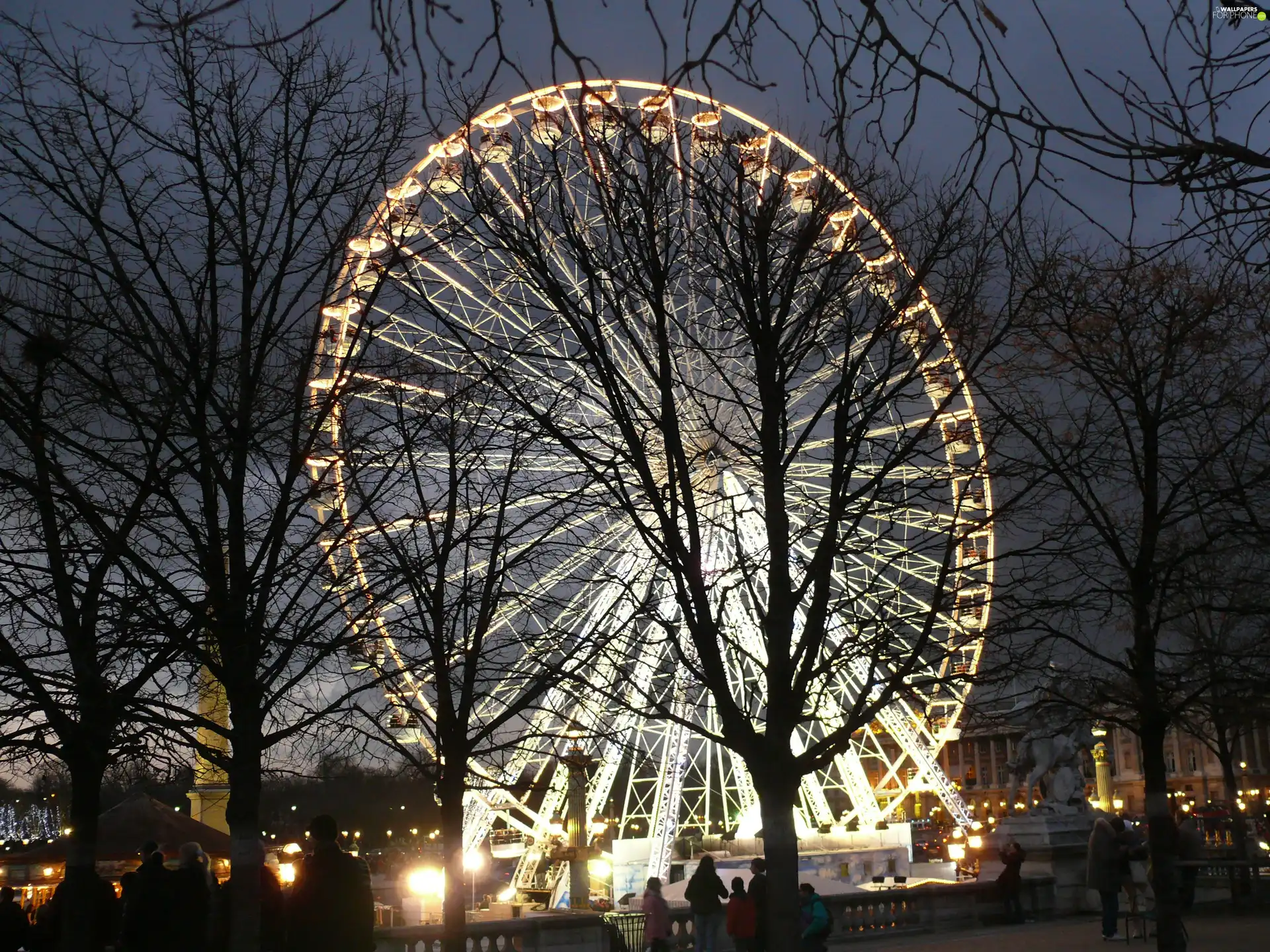 night, Floodlit, Ferris Wheel