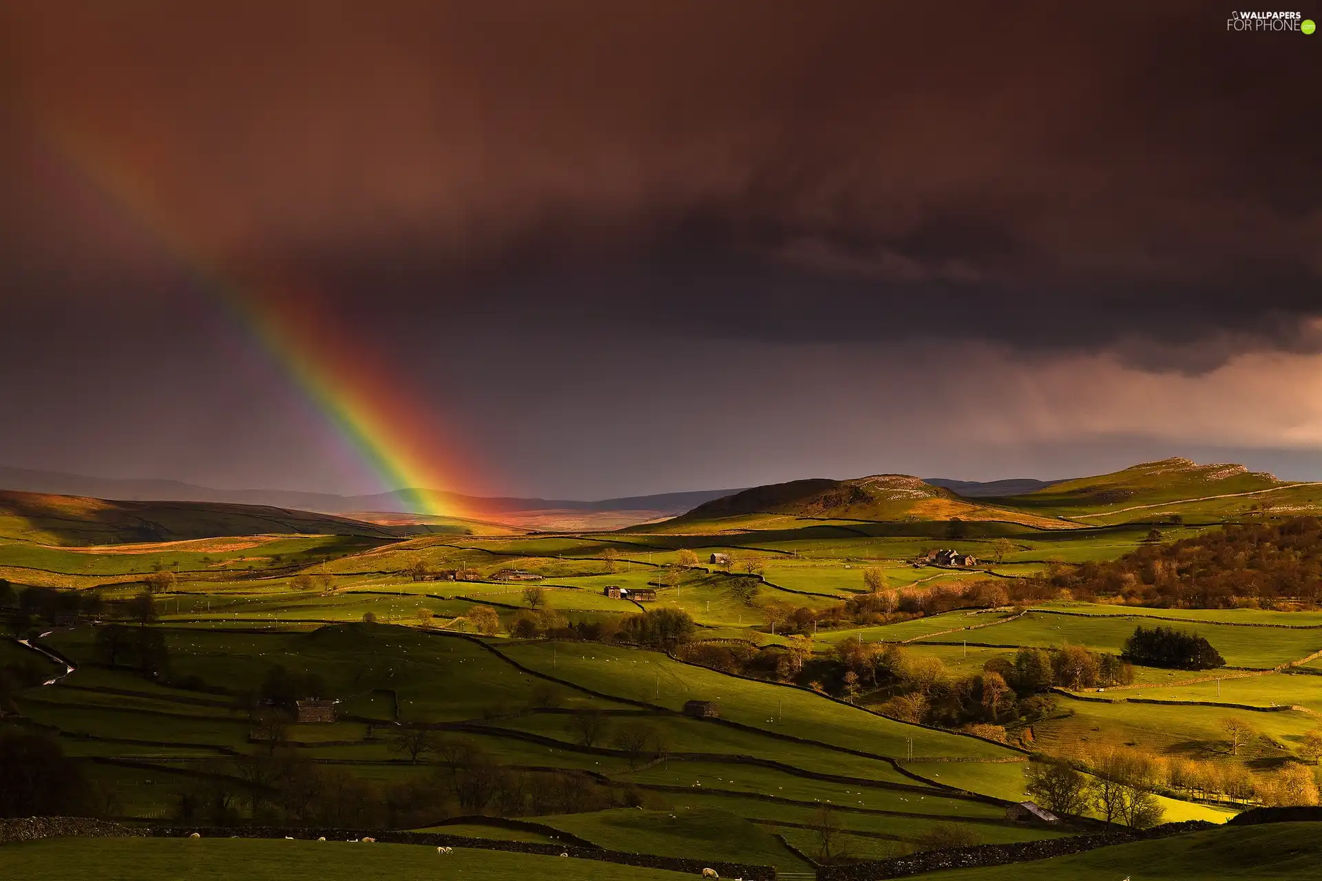 Great Rainbows, Storm, field