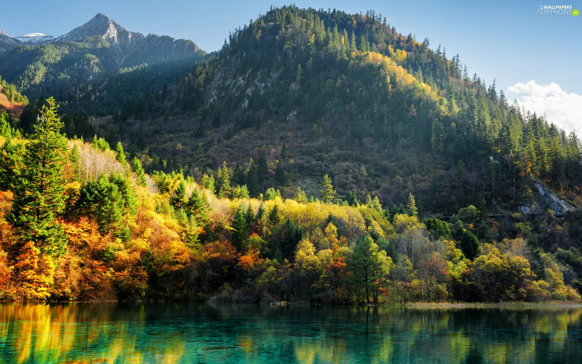forest, Mountains, China, Wu Hua Hai Lake - Five Flowers, viewes, autumn, Jiuzhaigou National Park, trees