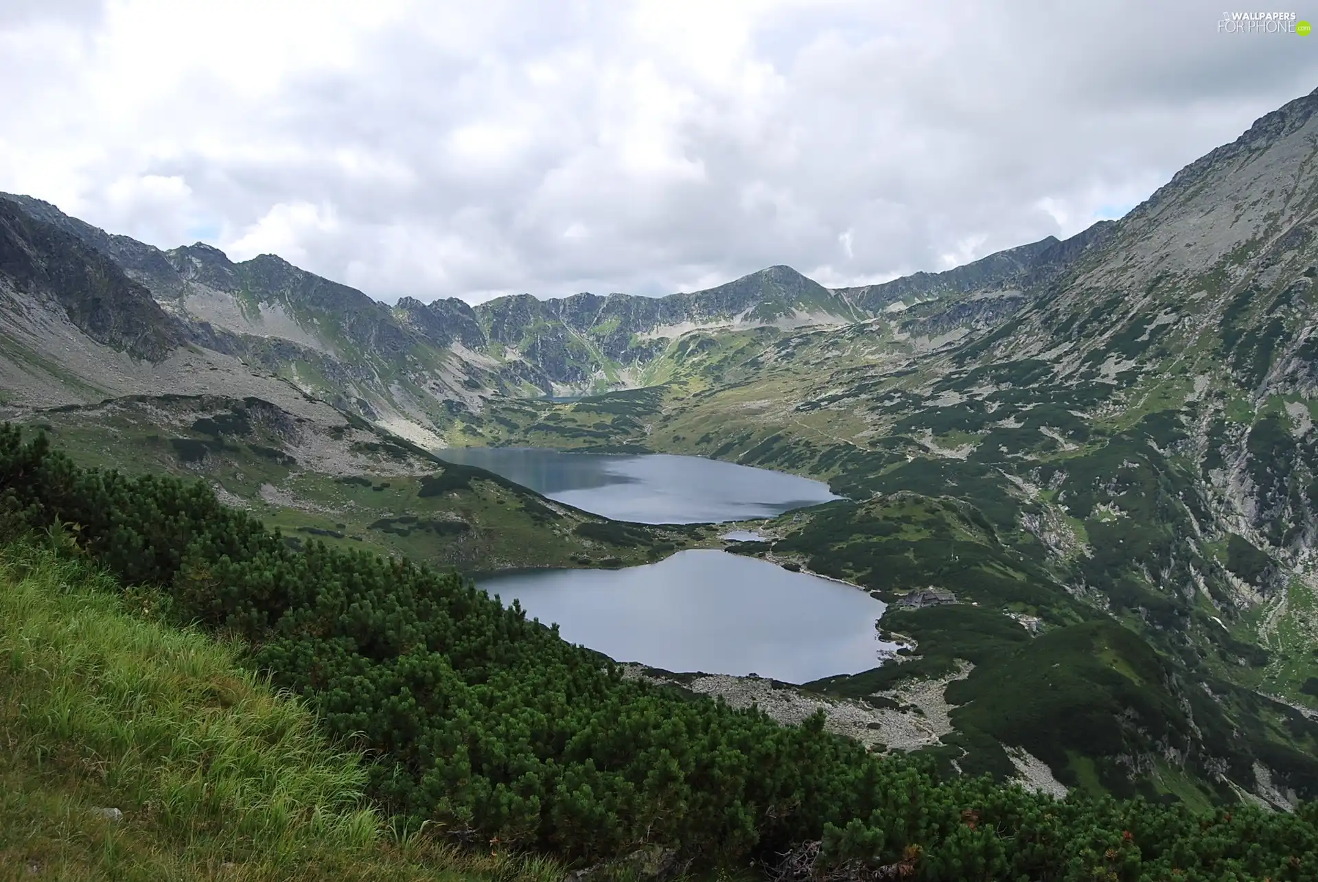 lakes, Tatras, Five Ponds Valley