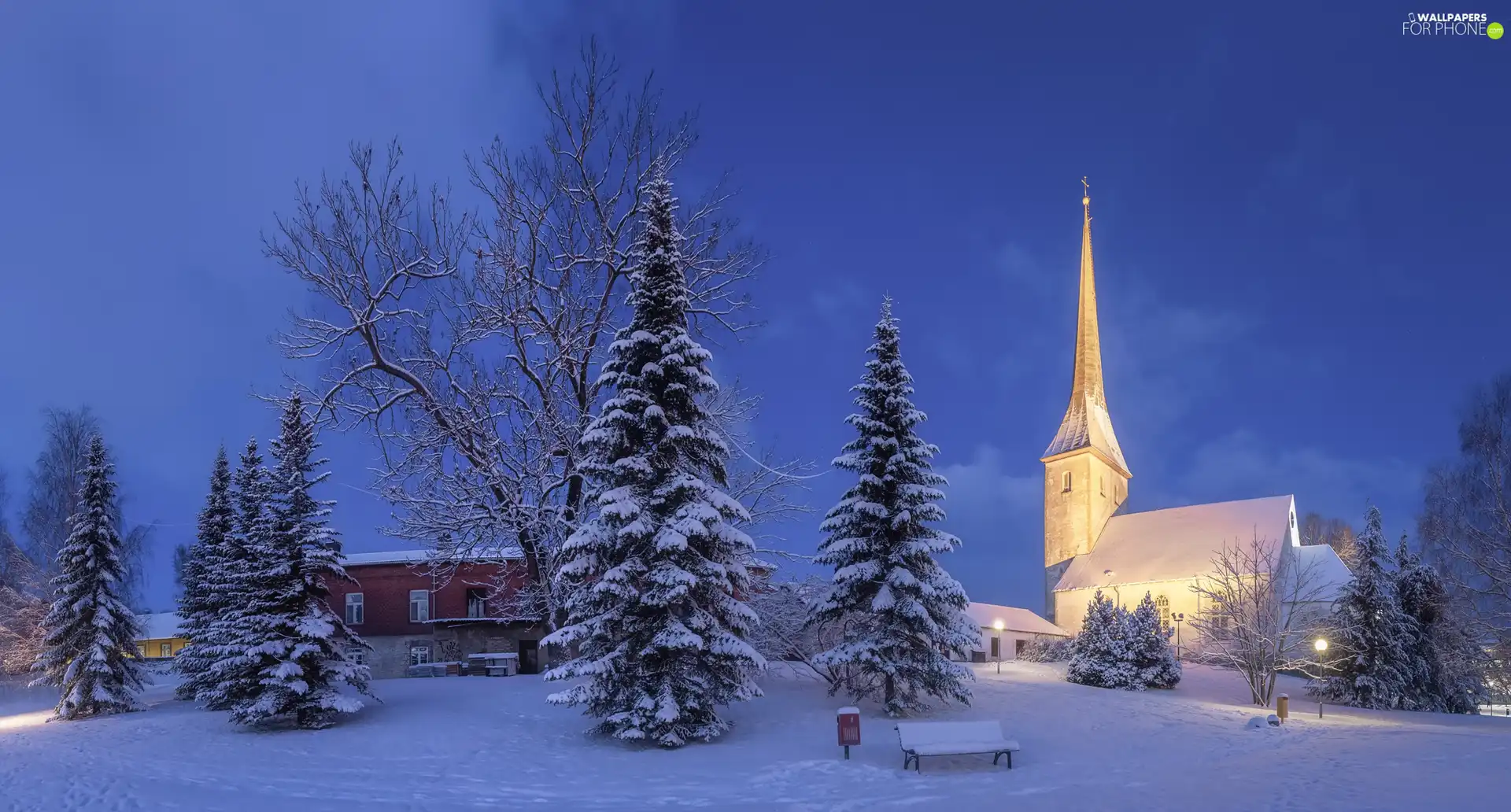 Church, Houses, viewes, Floodlit, winter, trees, Bench