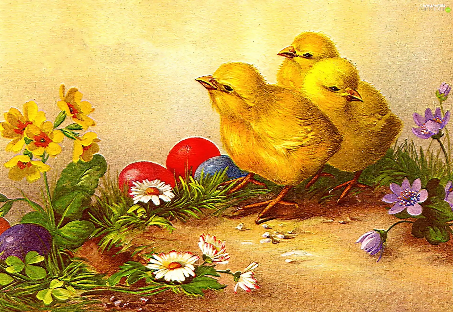 Easter, eggs, Flowers, chickens