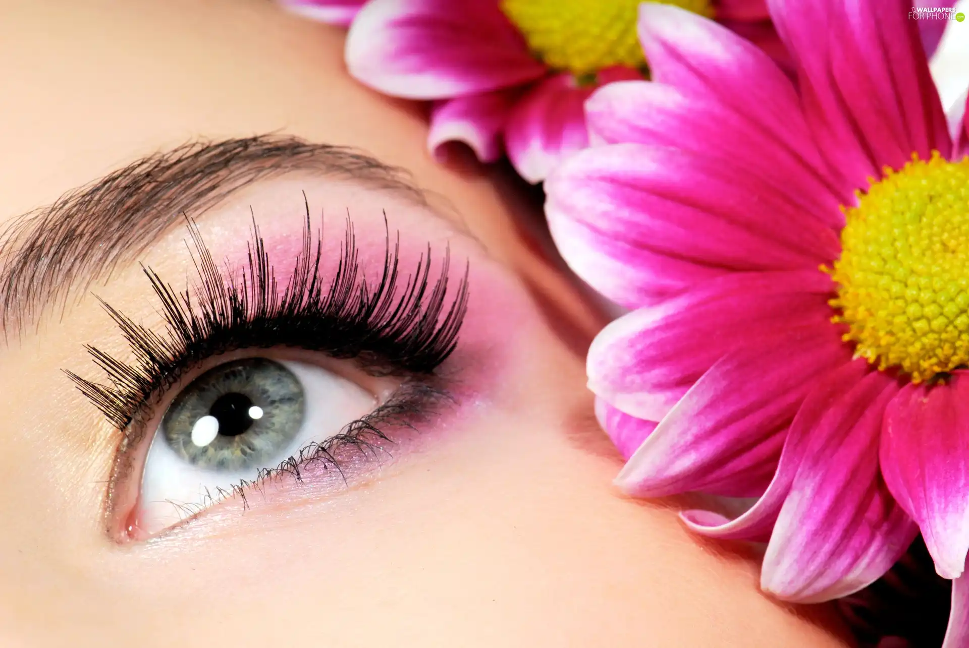 Flowers, Pink, eye