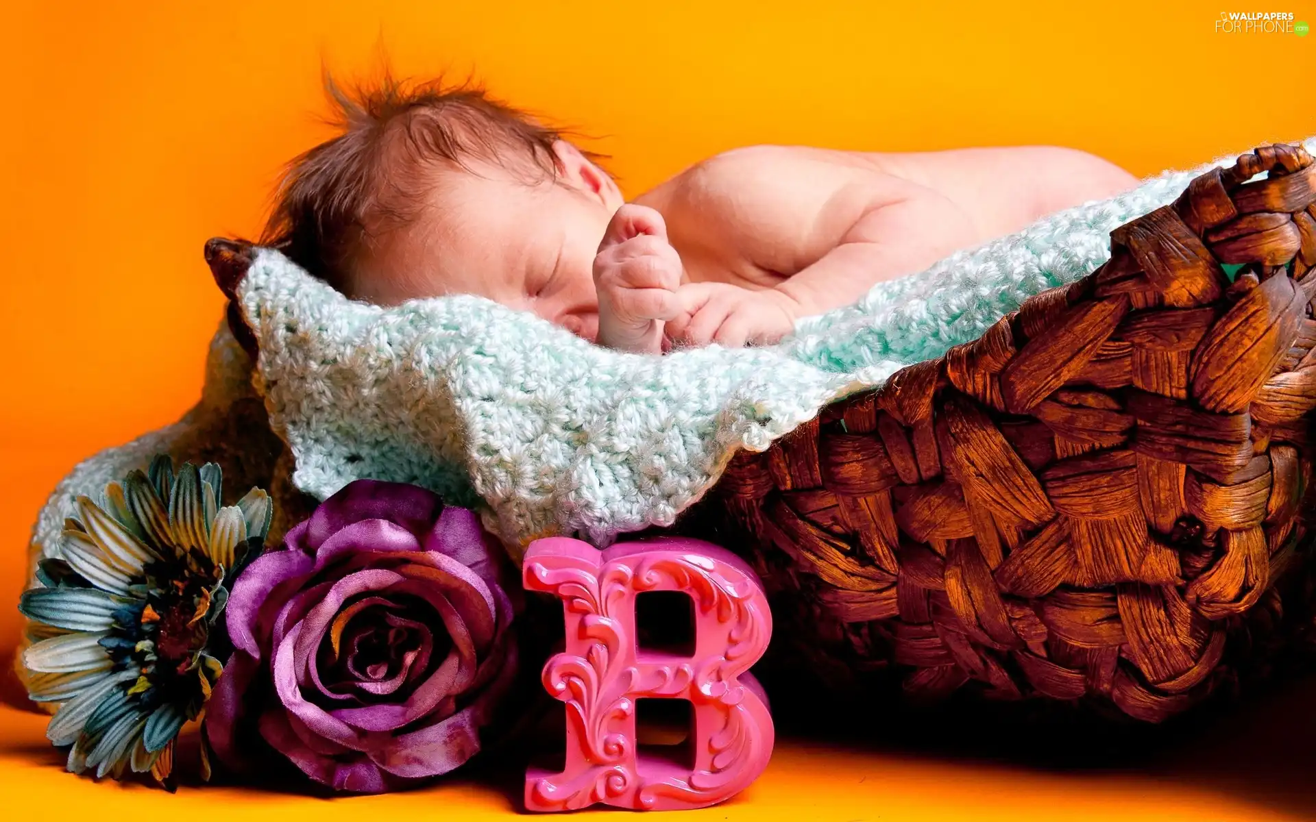 infant, Blanket, Flowers, basket