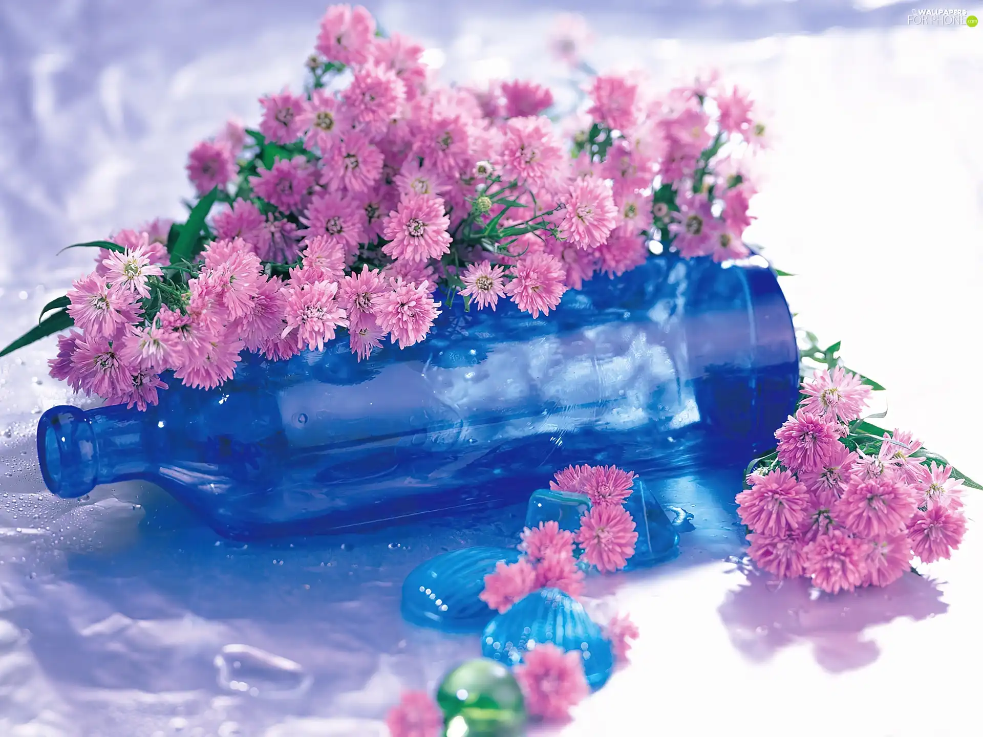 flowers, Bottle, Pink