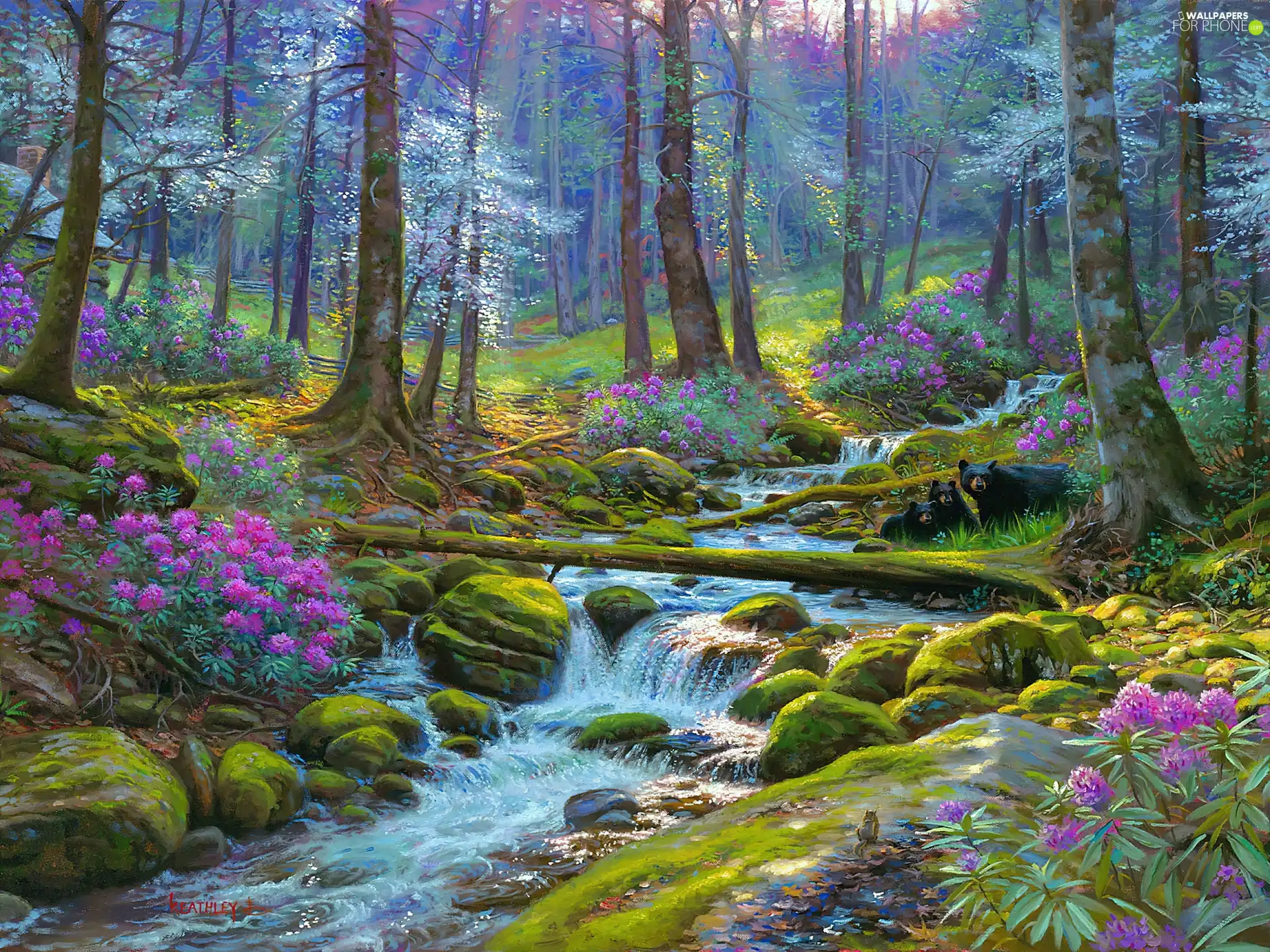 Flowers, Stones, River, stream, forest