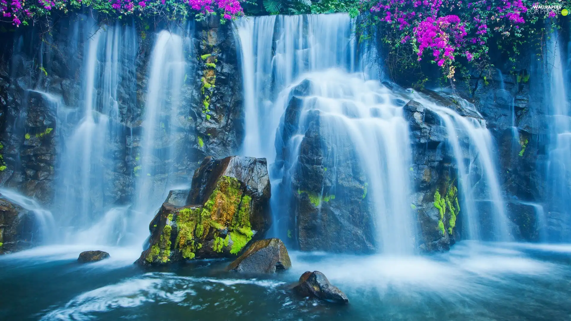 waterfall, mossy, rocks, Flowers