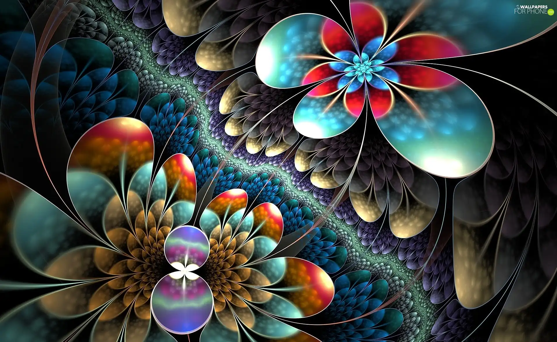 Fraktal, Flowers, graphics