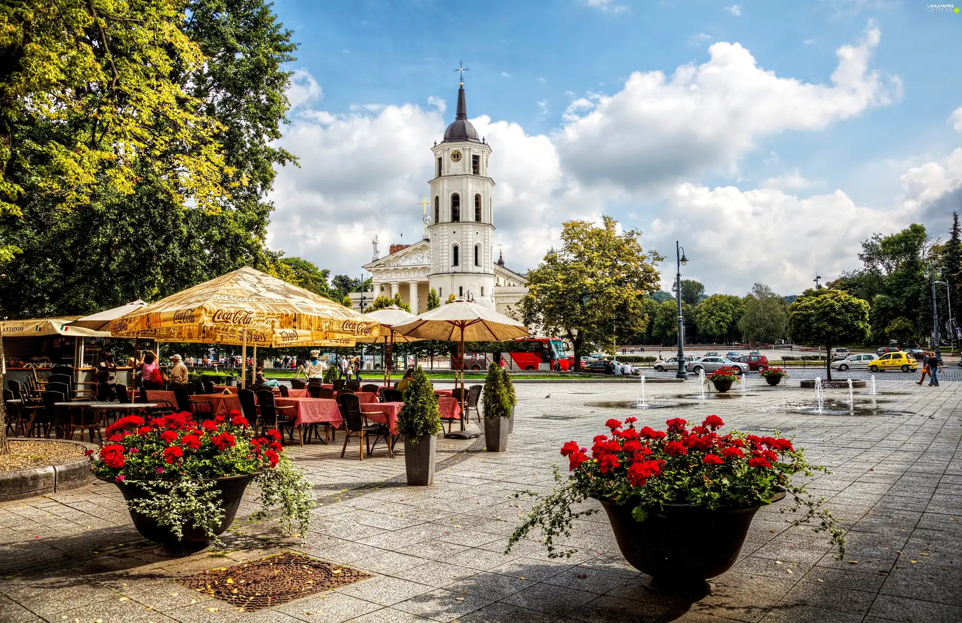 trees, Church, Flowerpots, Restaurant, Vilnius, viewes, With geraniums