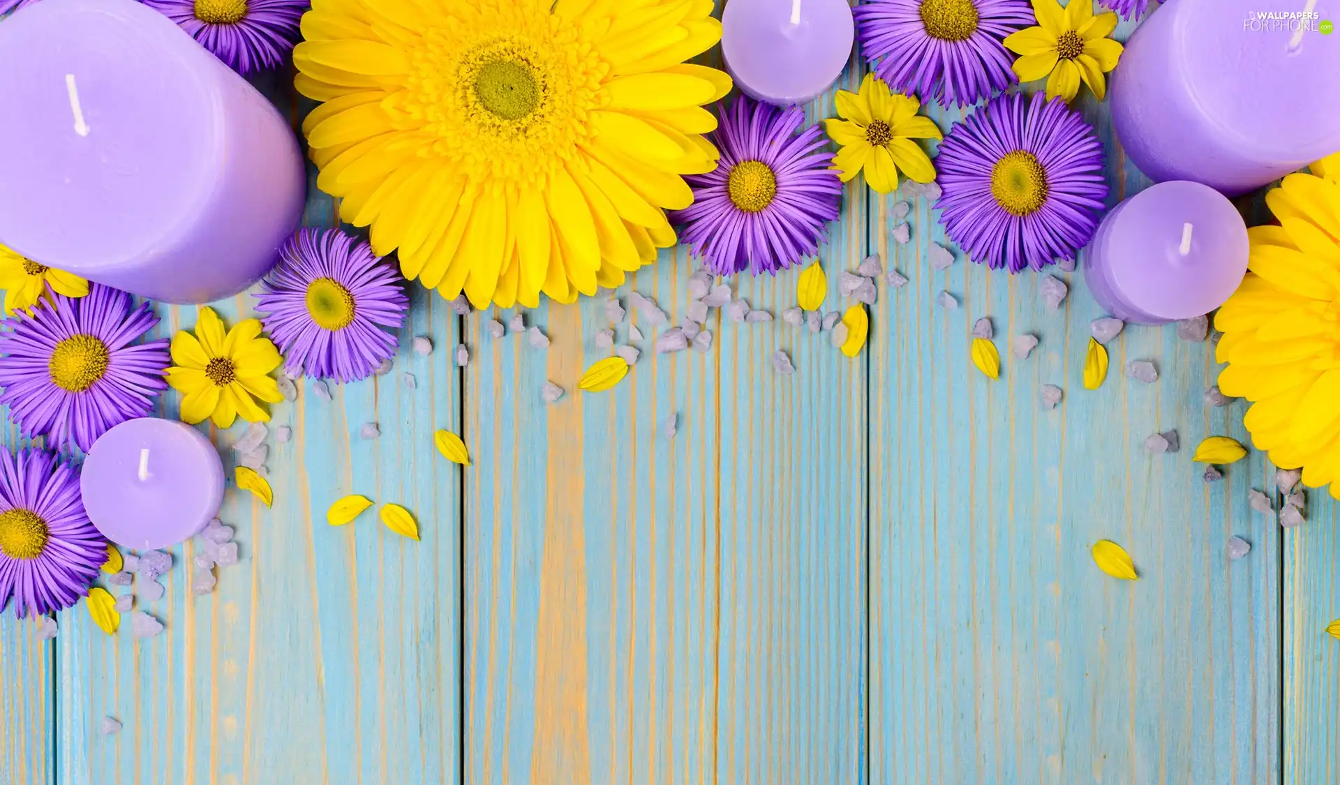 purple, Yellow, Candles, gerberas, Flowers, Astra, boarding