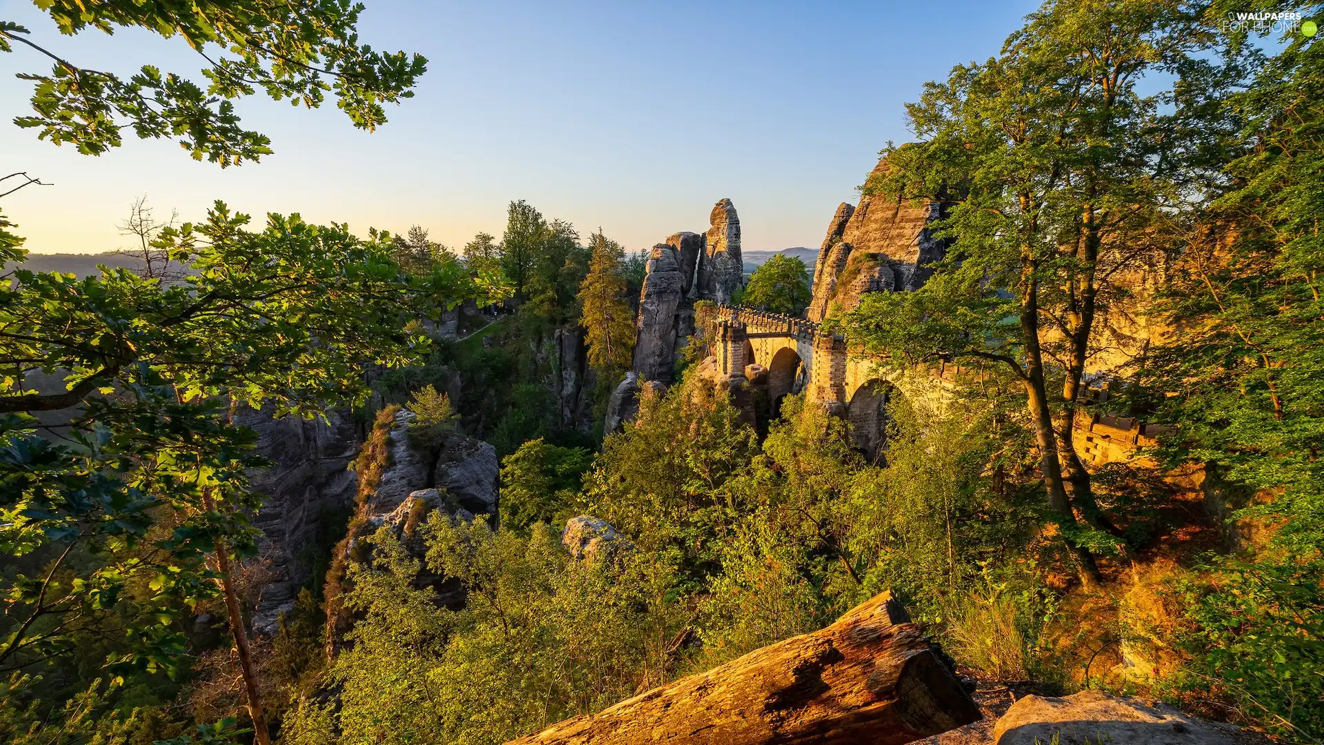 Saxon Switzerland National Park, Děčínská vrchovina, Germany, Rock Formation, trees, viewes, rocks, bridge, Bastei