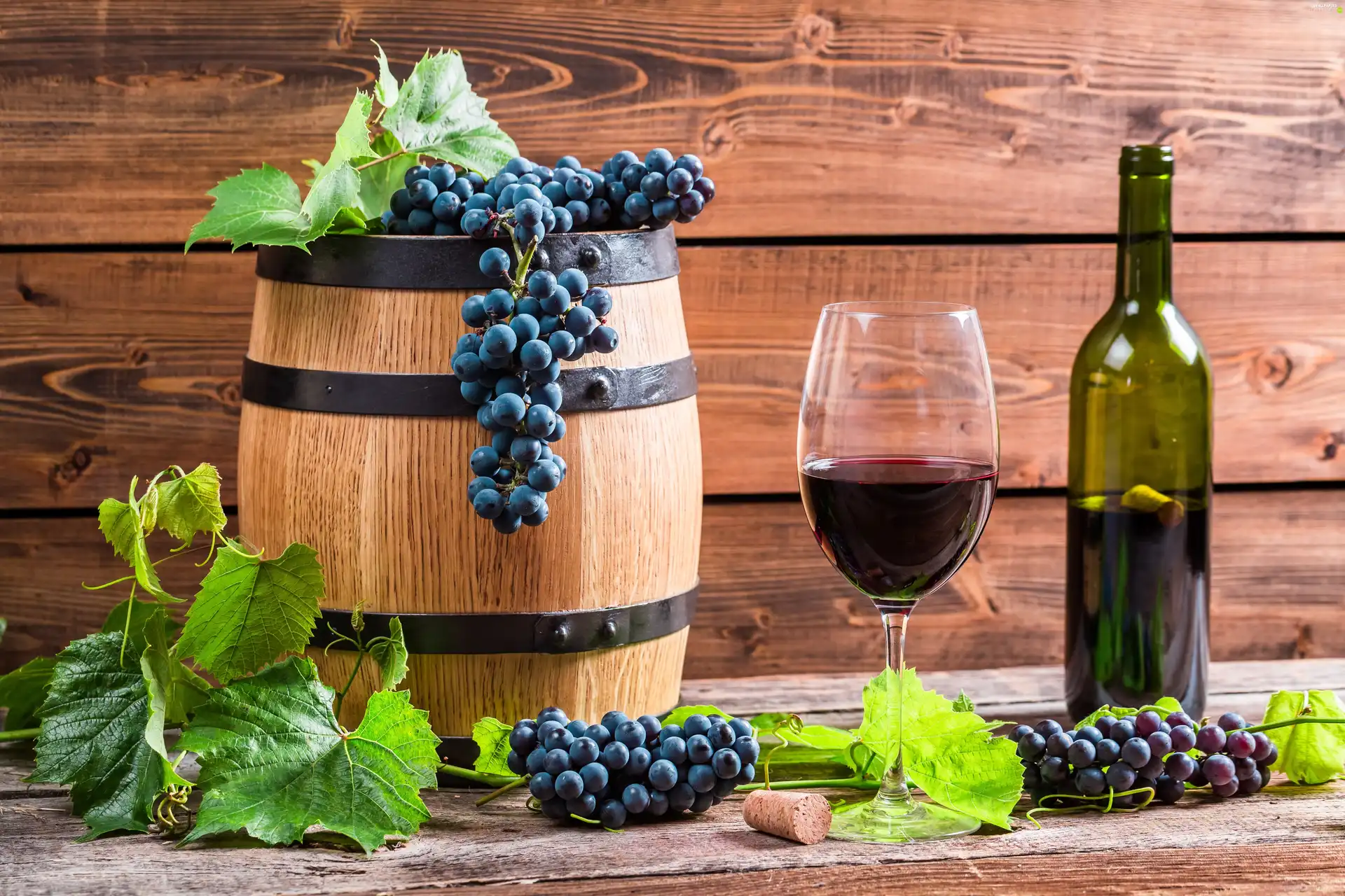 glass, Bottle, barrel, Wine, Grapes