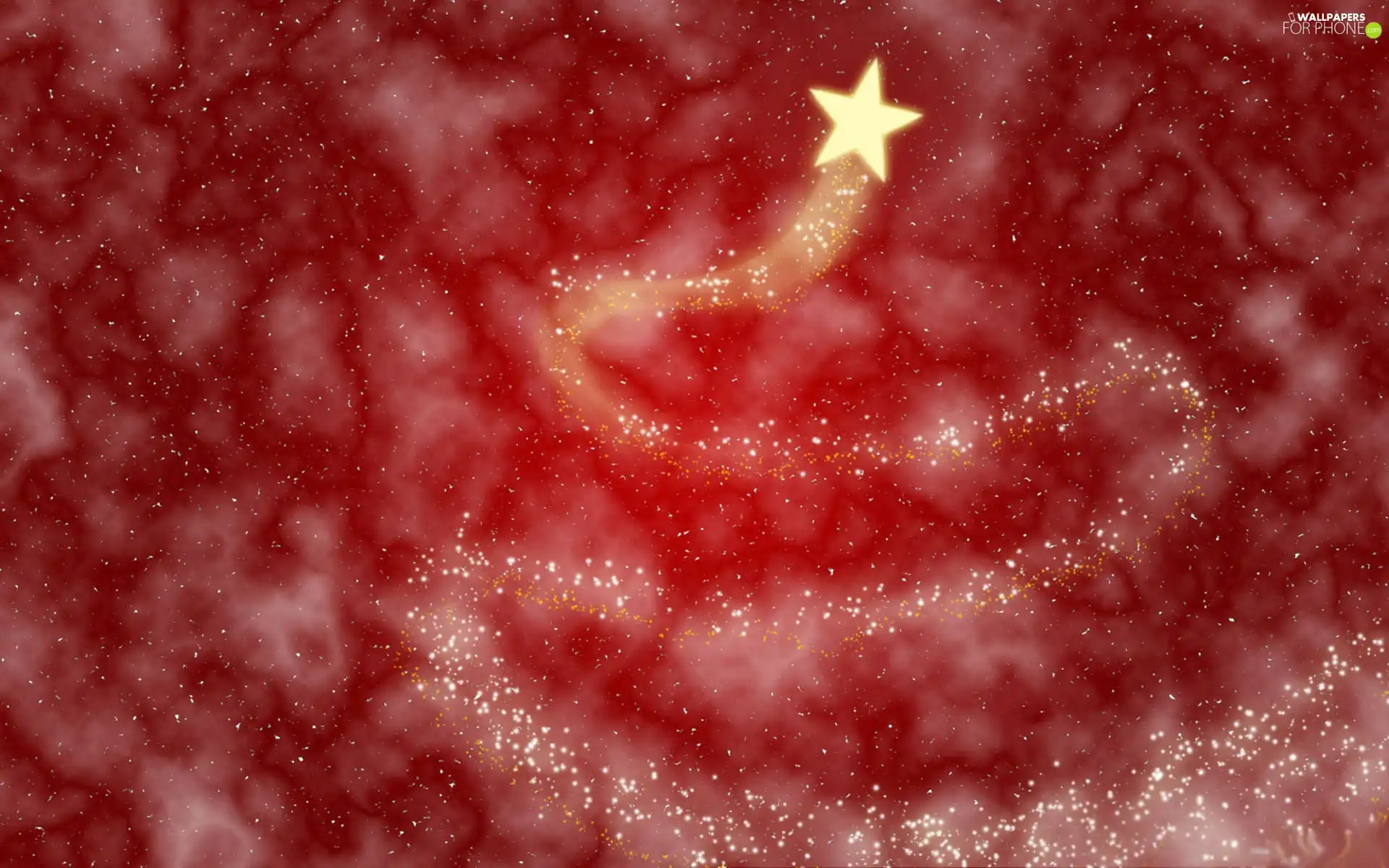 God, Christmas, starfish, christmas, christmas tree