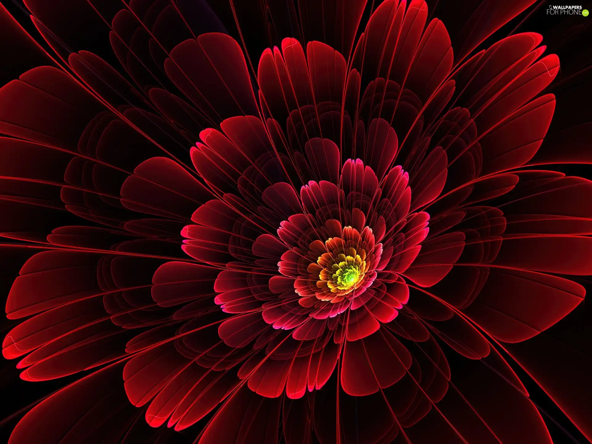 Red, Fraktal, graphics, Colourfull Flowers