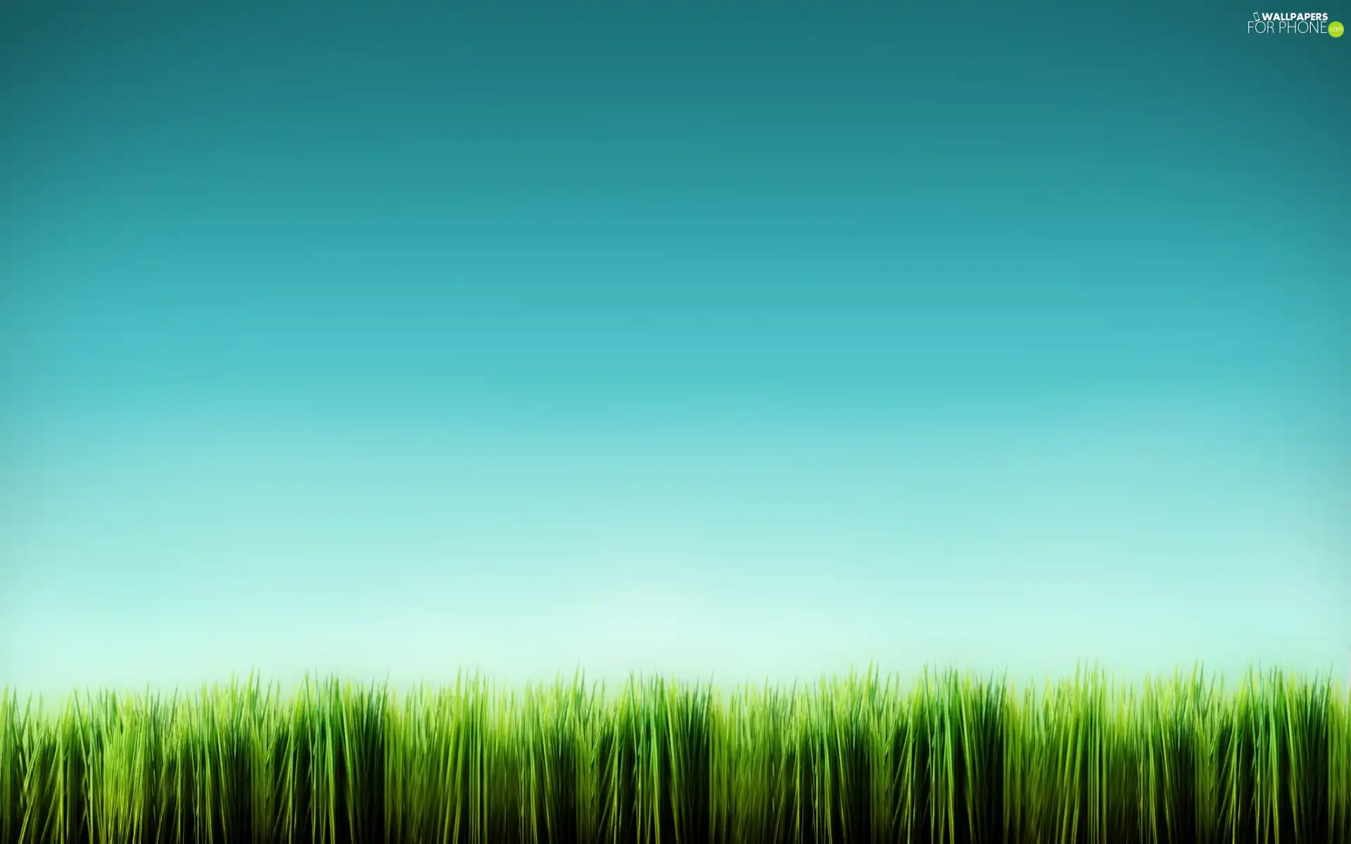 grass, Green, equal