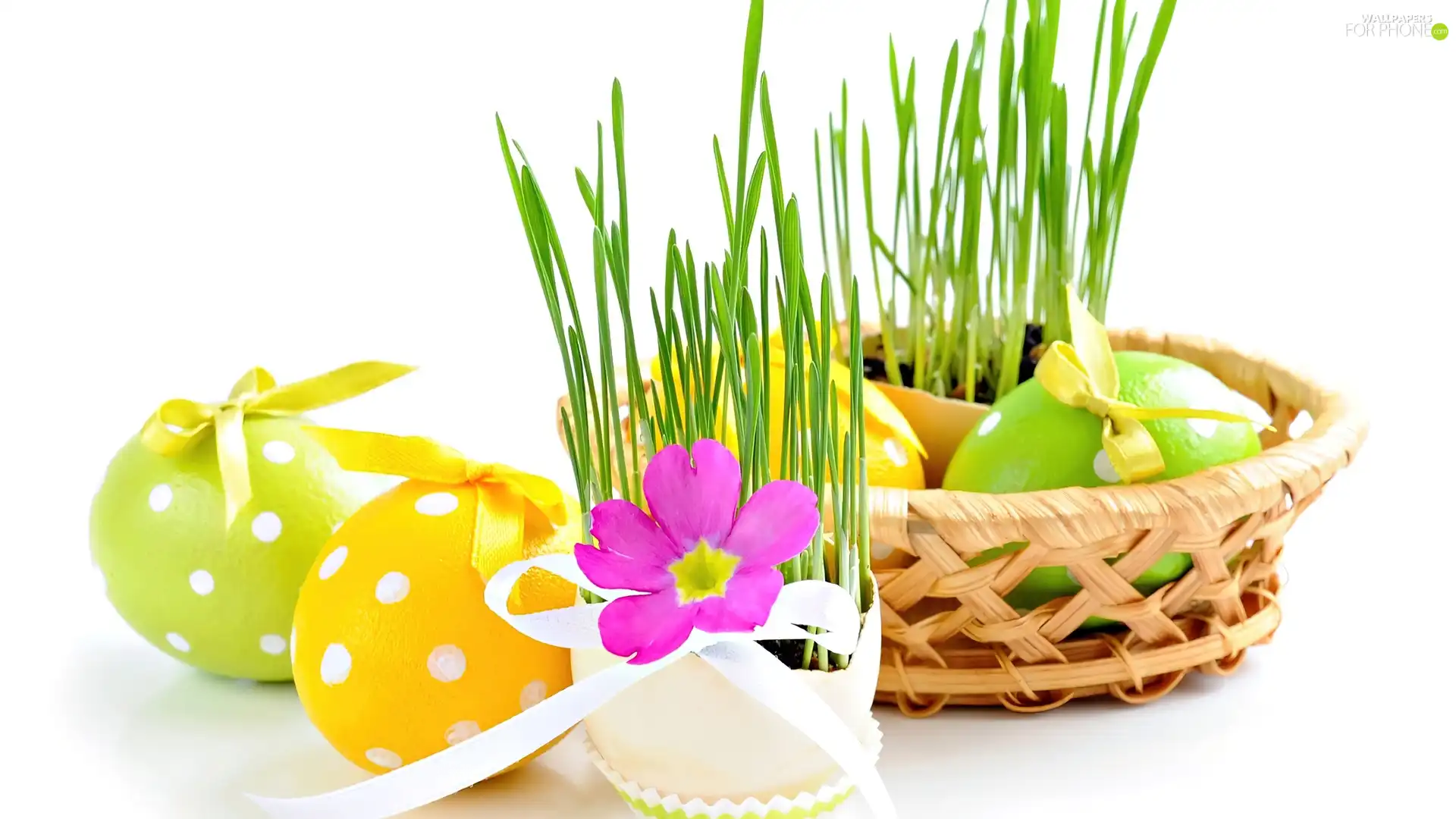 grass, flower, easter, eggs, basket