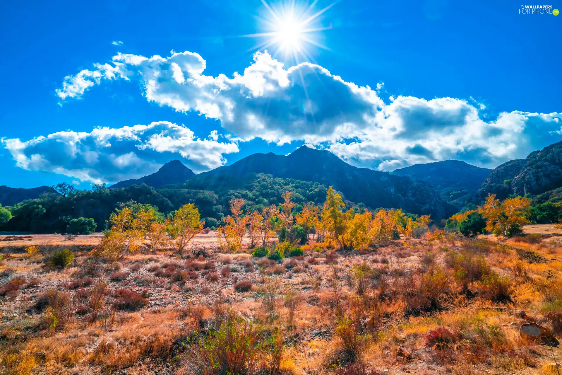 grass, trees, clouds, viewes, Mountains, autumn, rays of the Sun