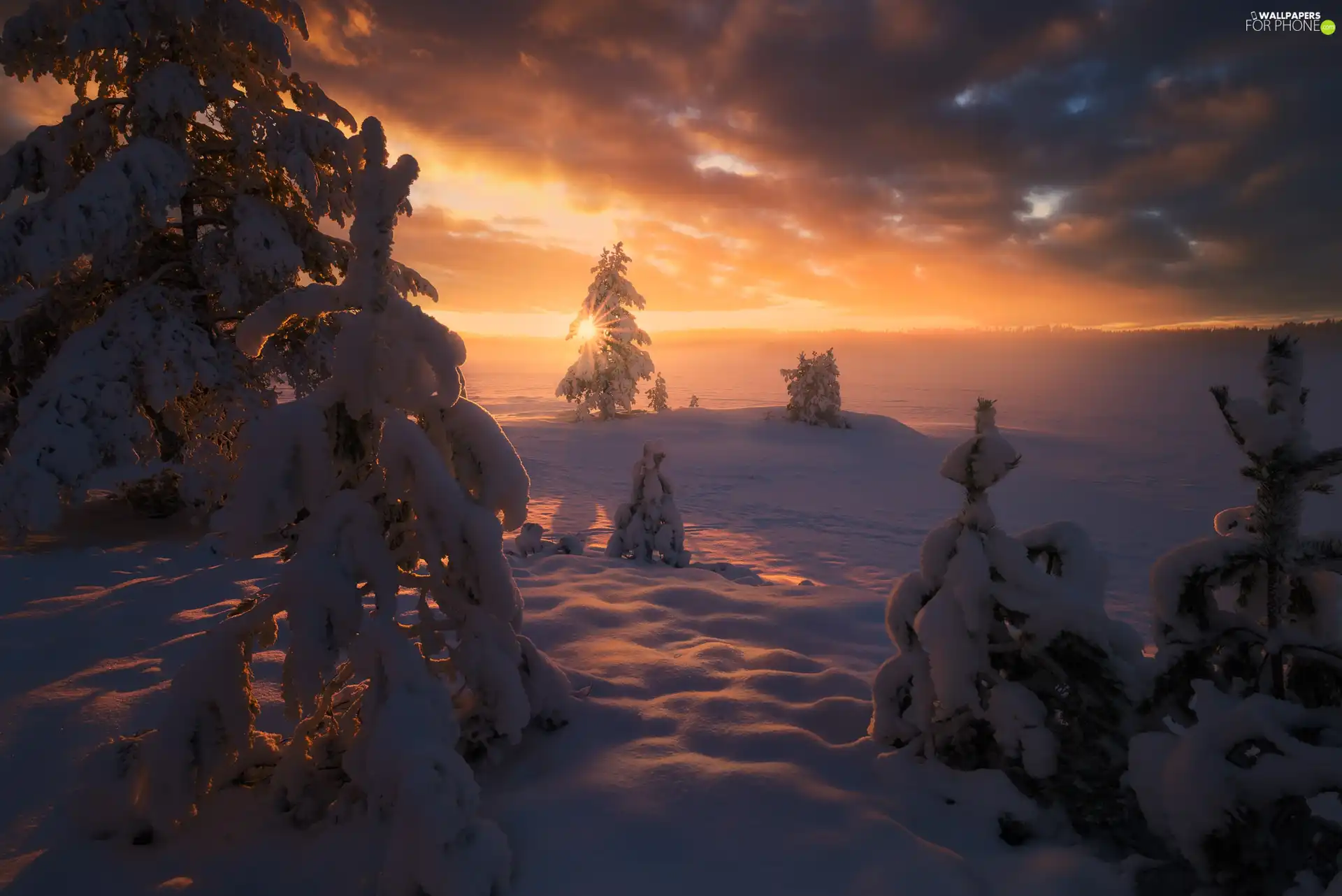 Great Sunsets, winter, viewes, snowy, trees, Ringerike Municipality, Norway, lake