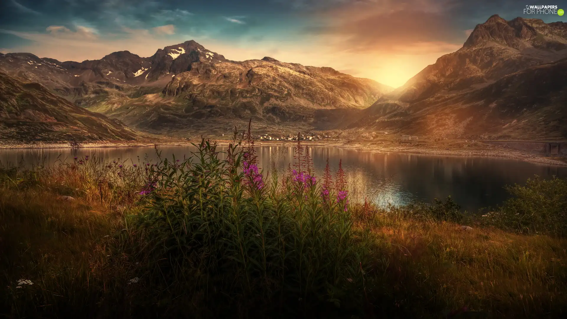 lake, Great Sunsets, Flowers, Mountains