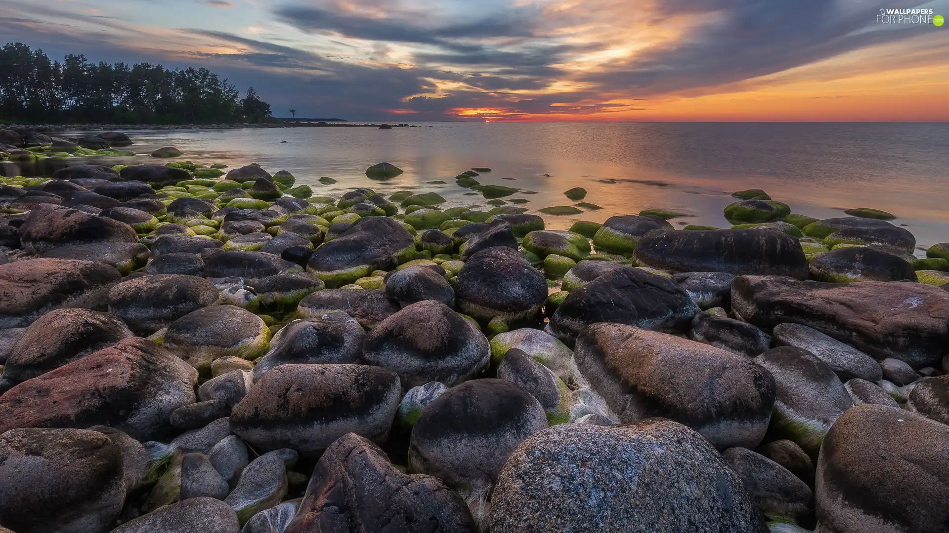 coast, sea, viewes, Great Sunsets, trees, Stones