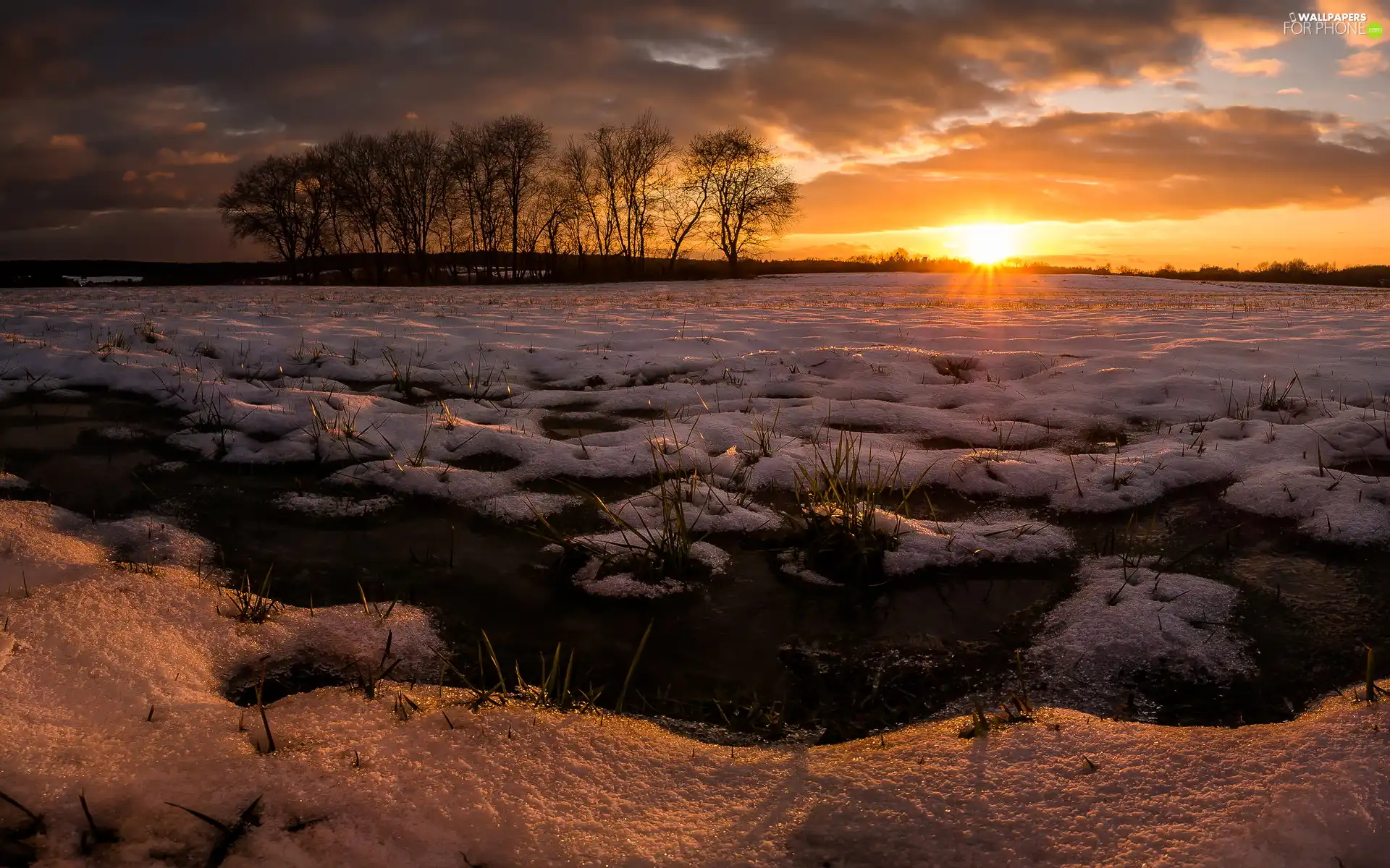 field, winter, viewes, Great Sunsets, trees, snow