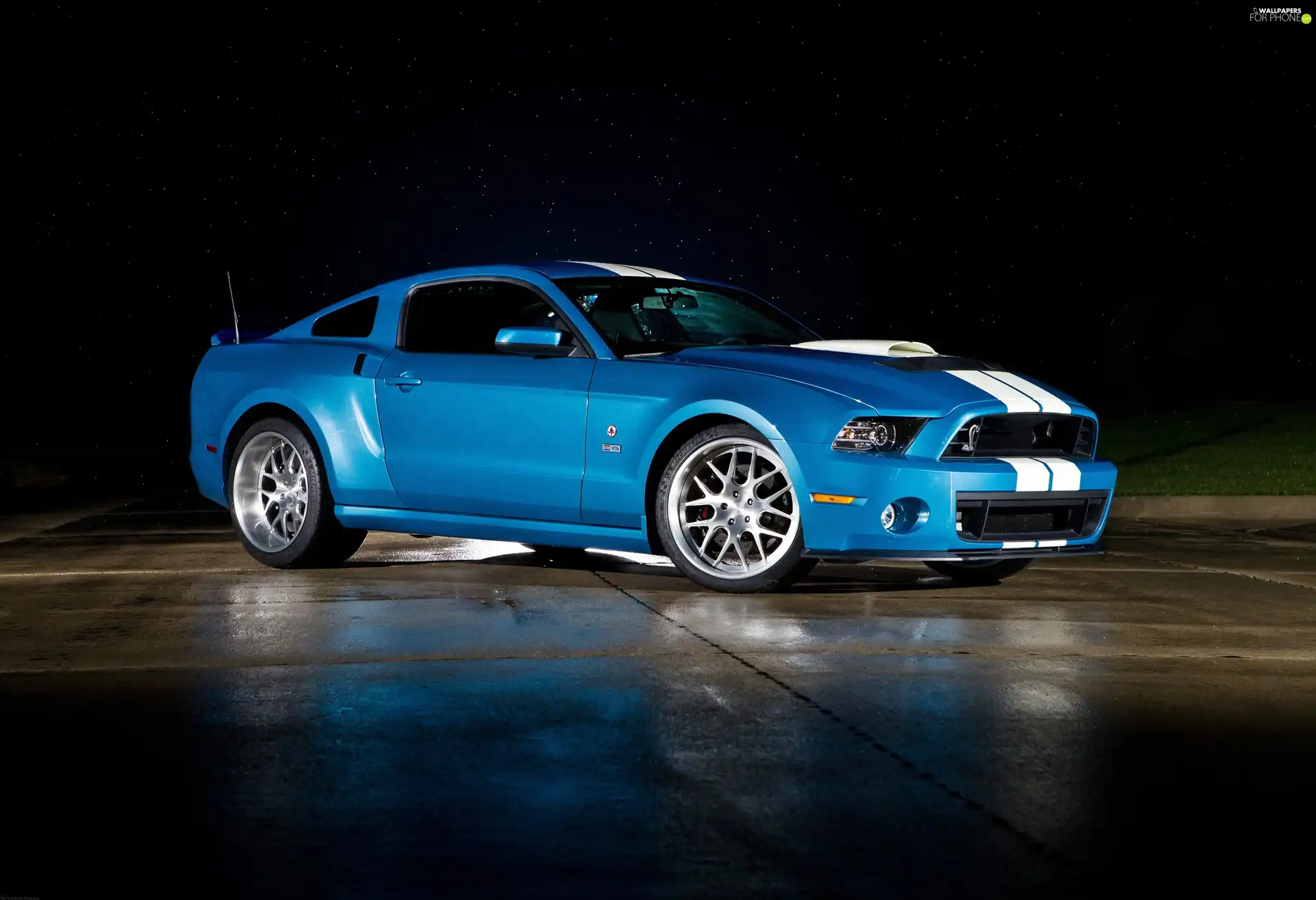 Cobra, Ford Shelby, GT500
