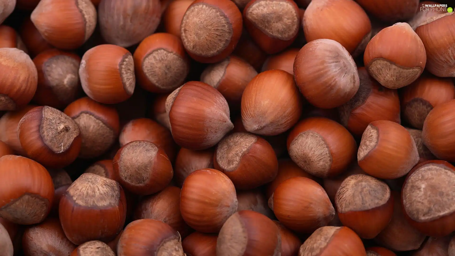 nuts, hazelnuts
