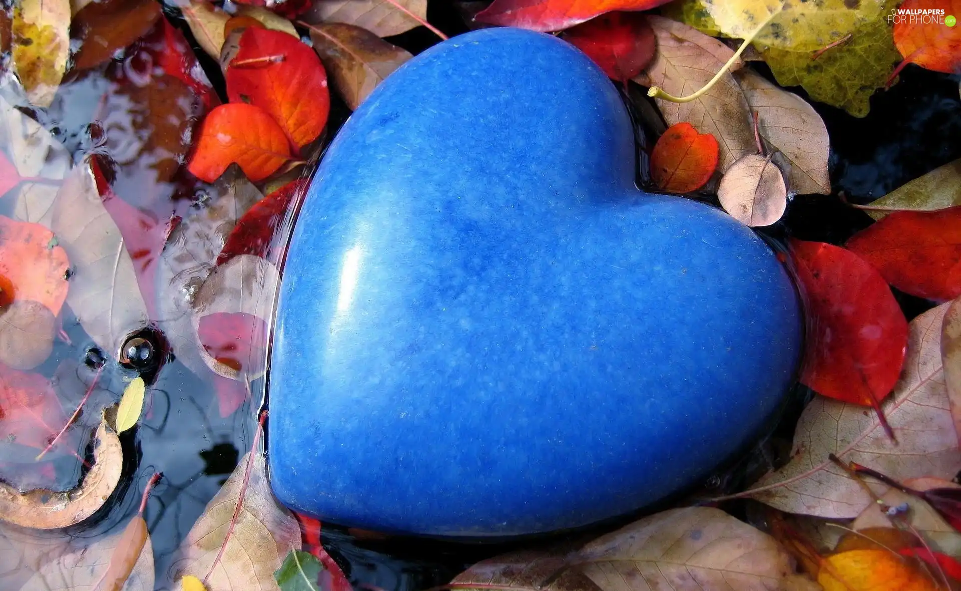 Heart, Leaf, Blue