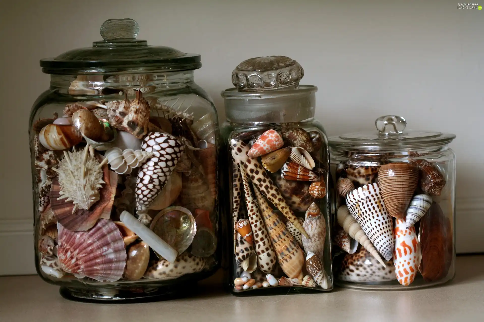 Shells, decoration, hobby, Jars