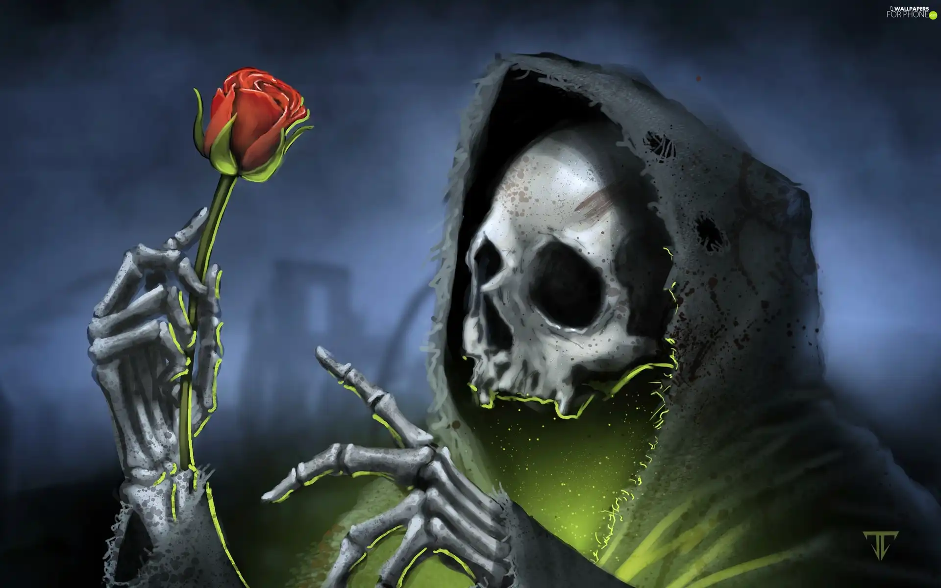 hood, skeleton, rose
