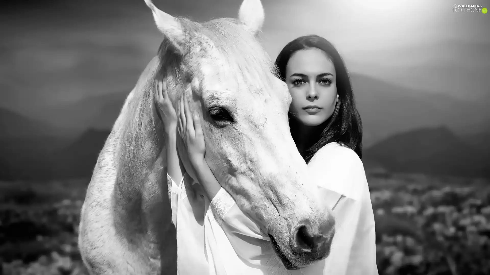 Black and white, Women, Horse