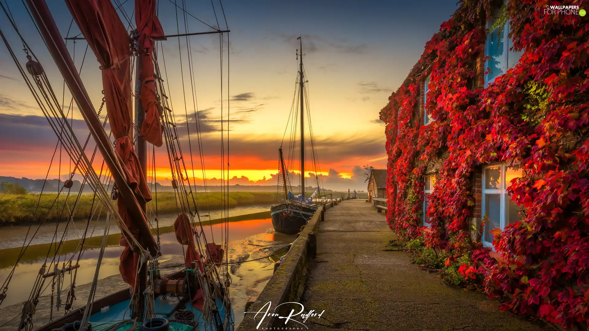Red, autumn, Sailboats, Leaf, Harbour, England, Suffolk, grape-vine, house, River, Sunrise