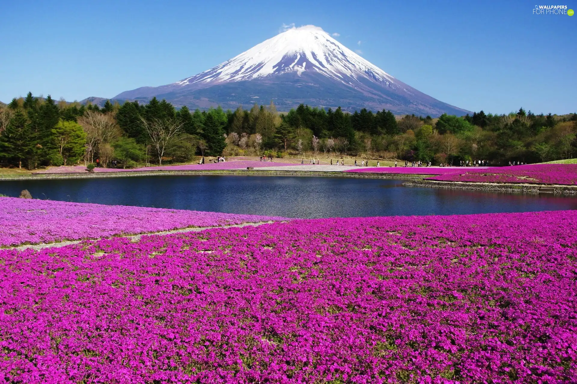 volcano, floral, Japan, carpet