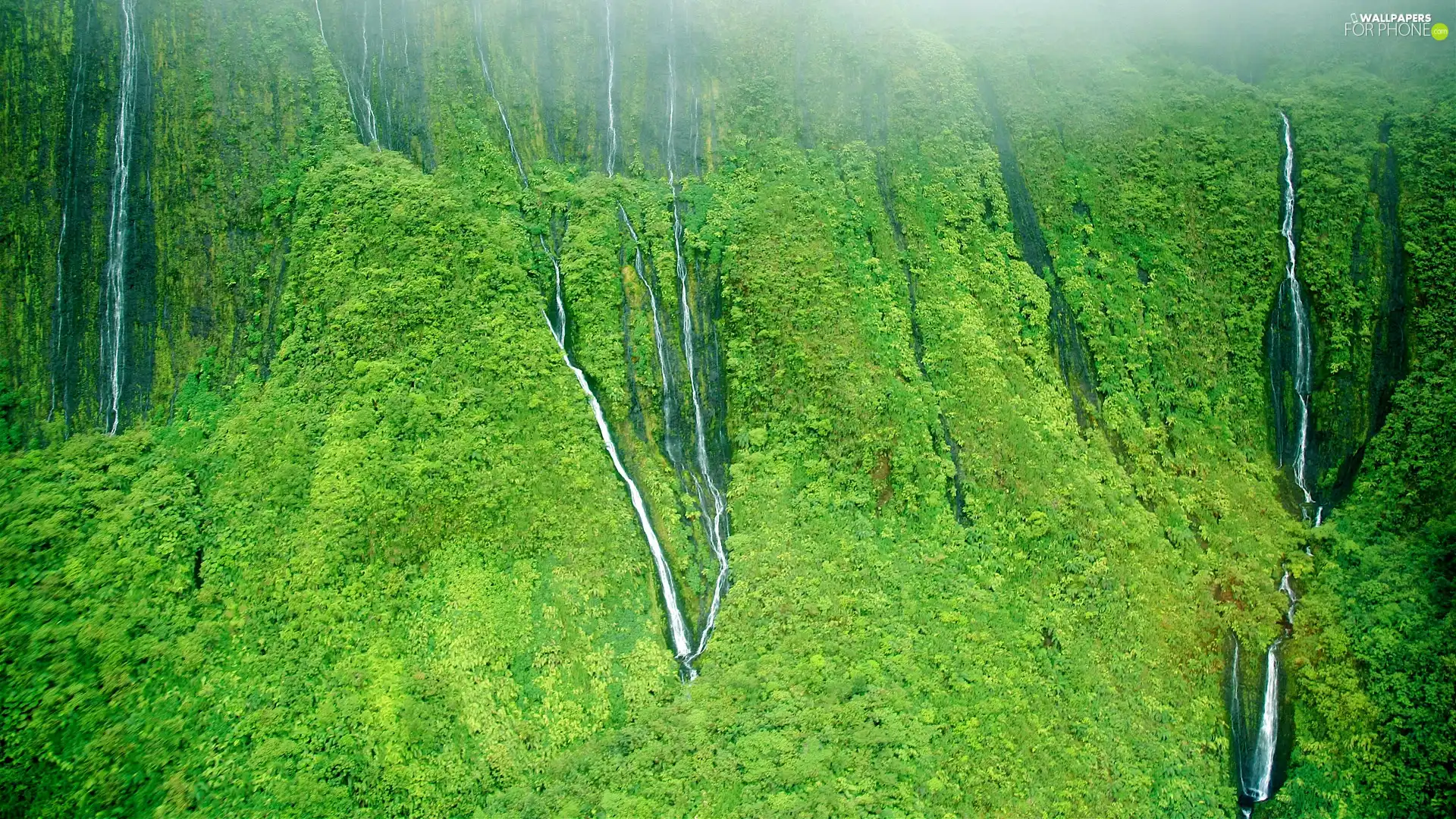 waterfalls, jungle
