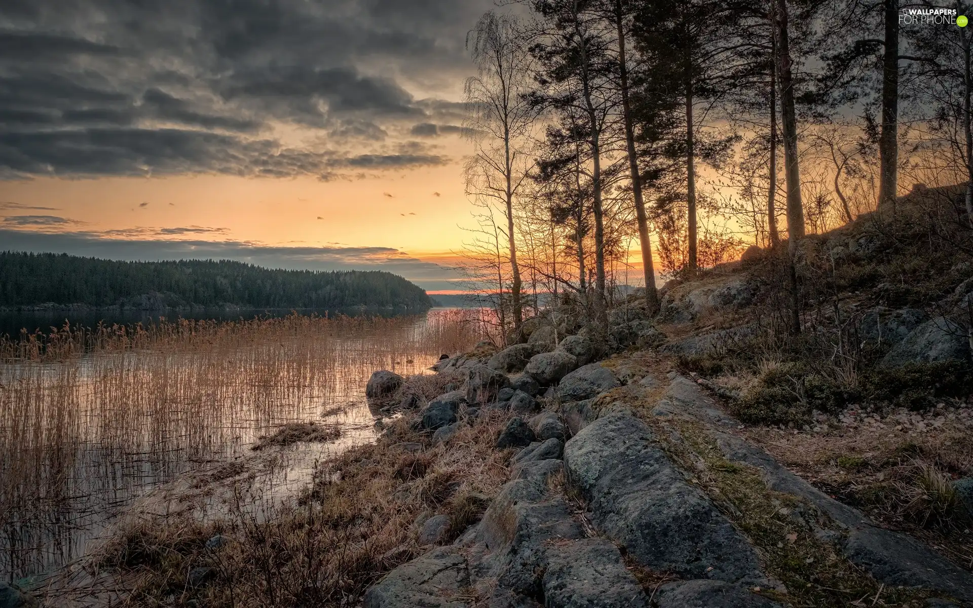 Lake Ladoga, Great Sunsets, rocks, trees, Karelia, Russia, clouds, rushes, viewes