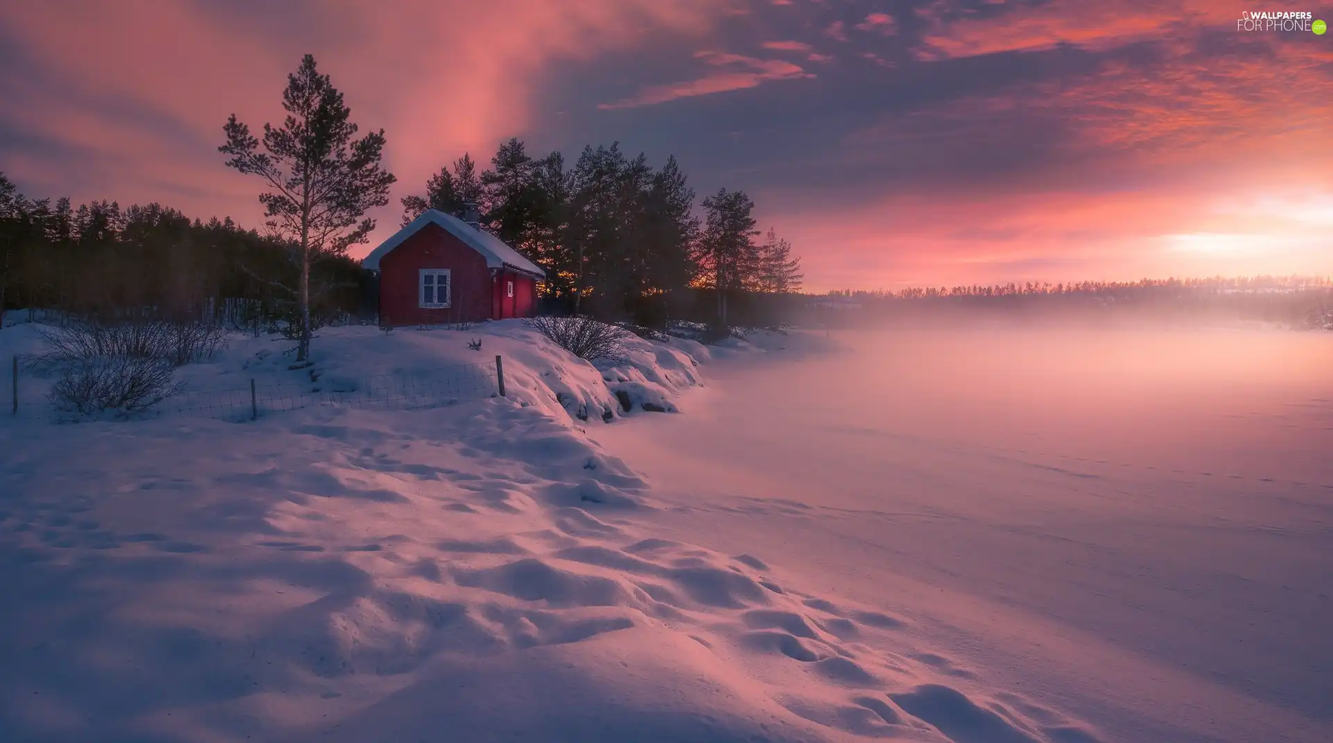 trees, viewes, Norway, snowy, Ringerike, house, winter, lake