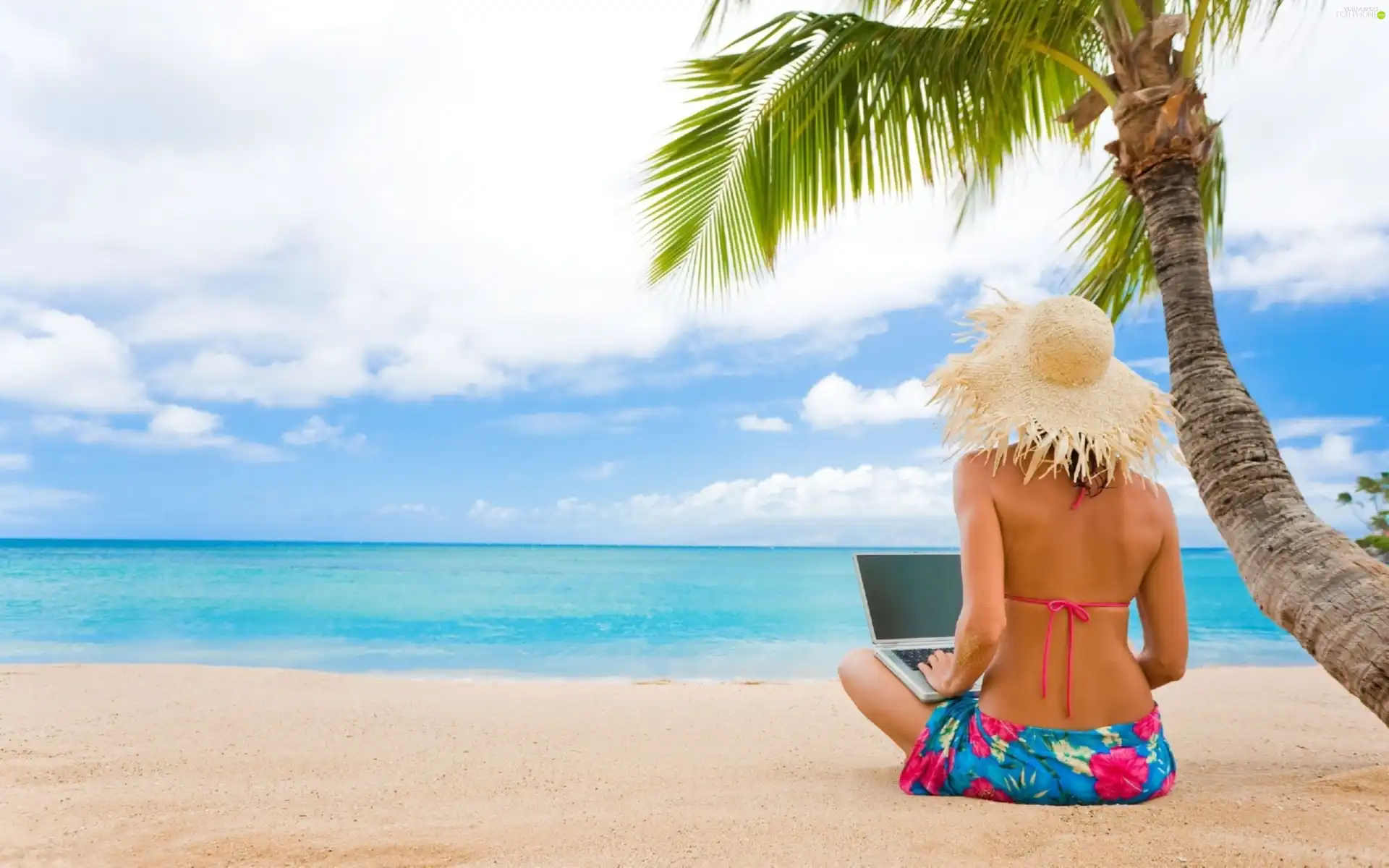 Beaches, Women, laptop, summer
