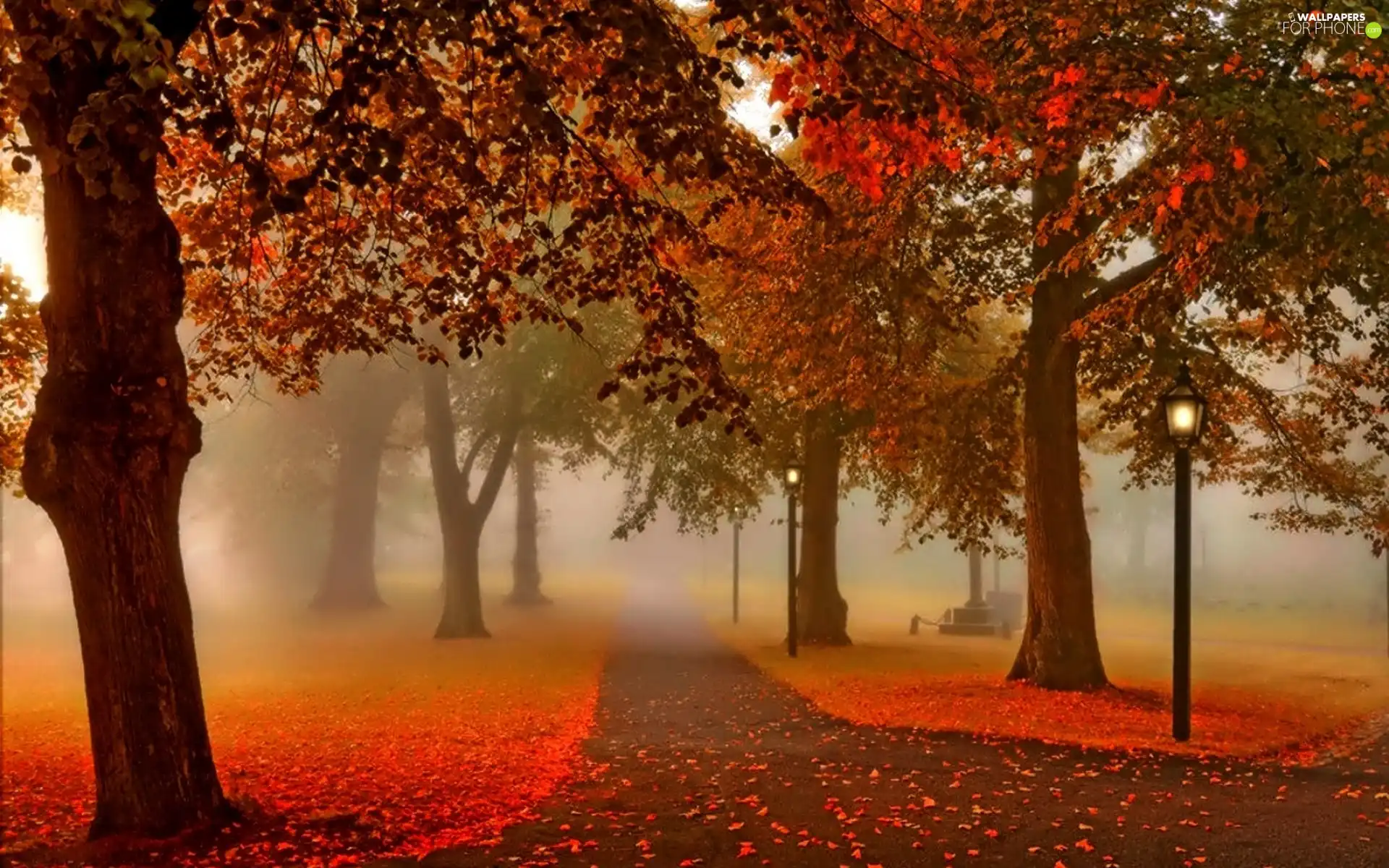 lanterns, Park, Leaf, autumn, Fog, Alleys