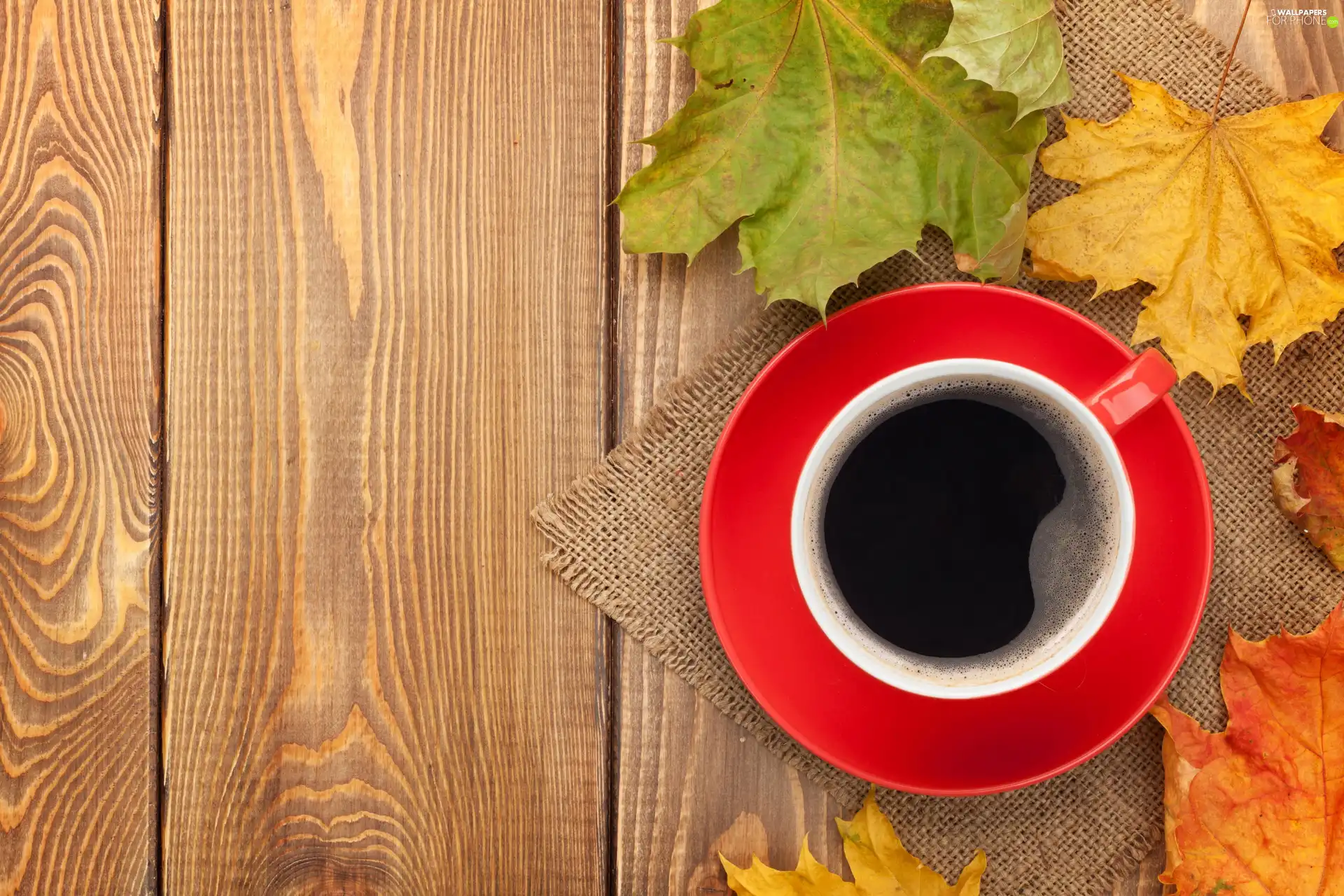 coffee, Autumn, Leaf, napkin