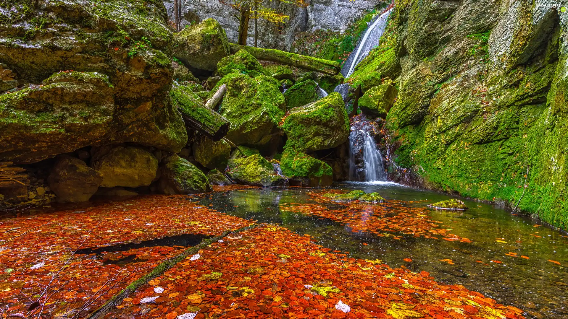 Stones, rocks, viewes, River, trees, mossy, waterfall, Leaf