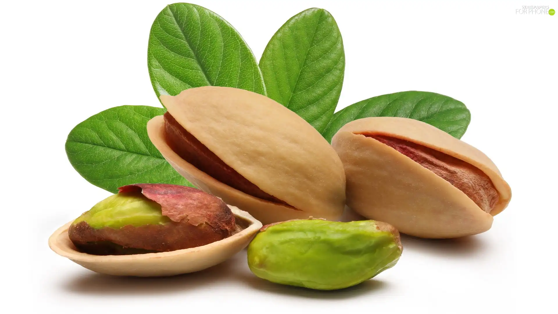 pistachios, leaves