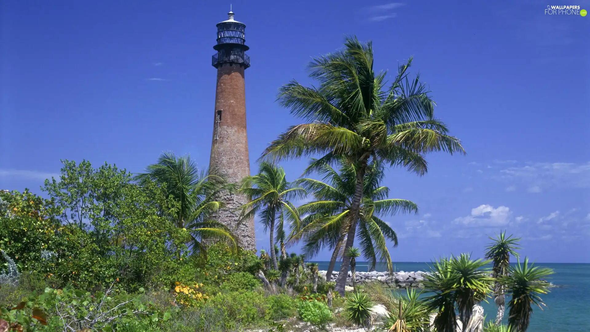 Lighthouses, sea, Palms
