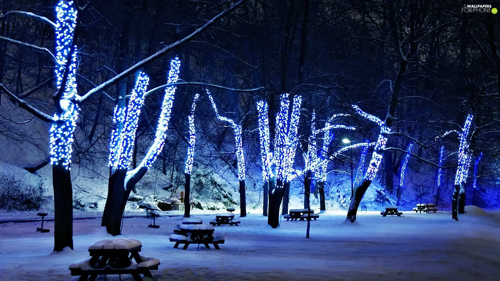 winter, Night, lights, Park