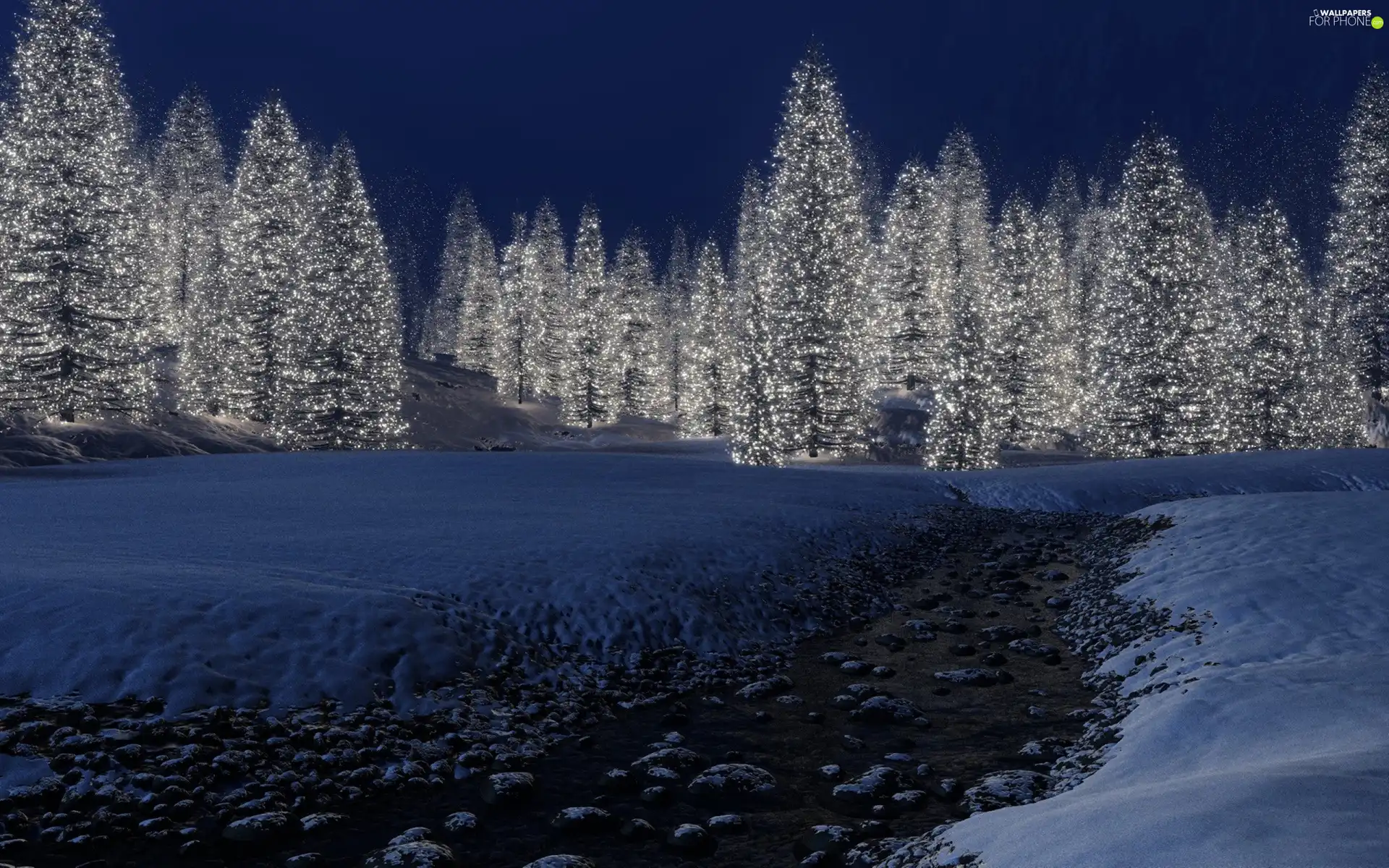 luminous, forest, snow, drifts, brook