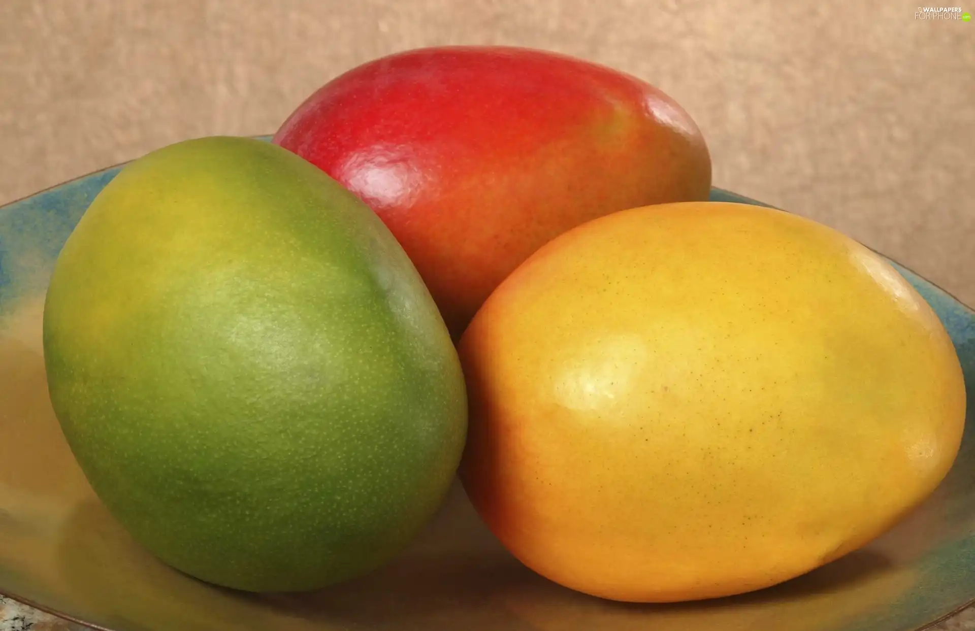 Mango, Tricolour, Fruits