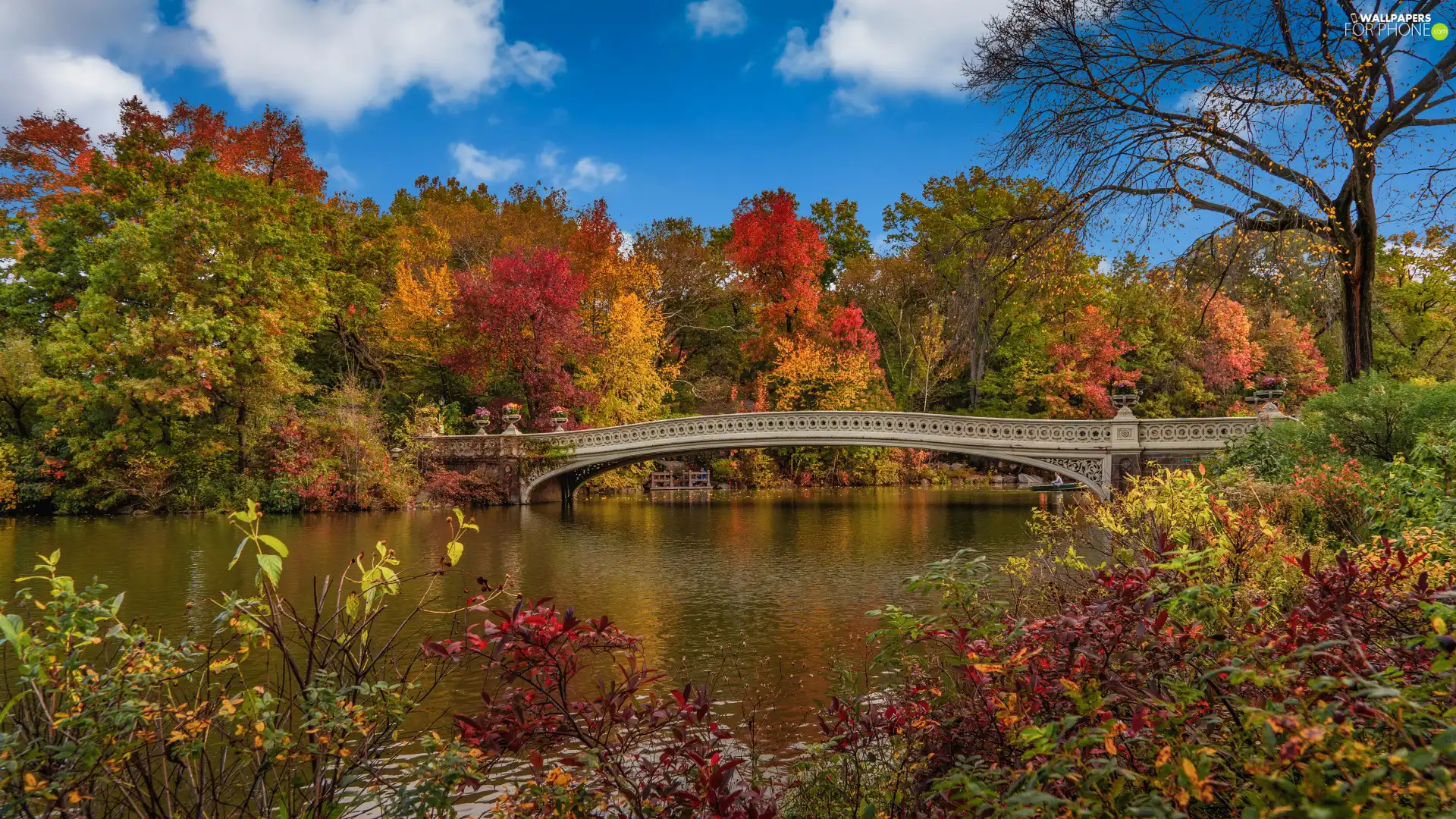 New York, autumn, Manhattan, Central Park, bridge, The United States, viewes, lake, trees
