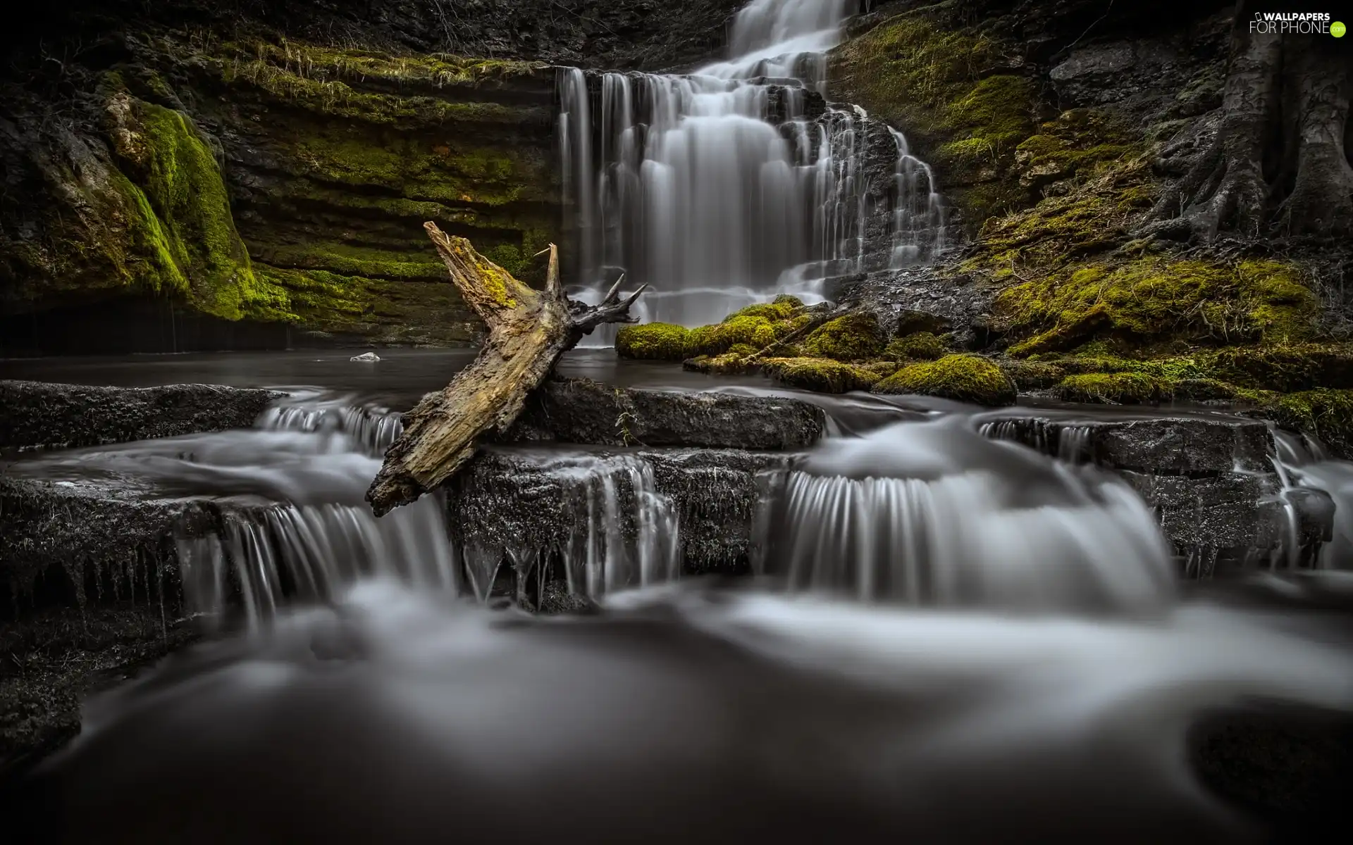 Moss, waterfall, rocks