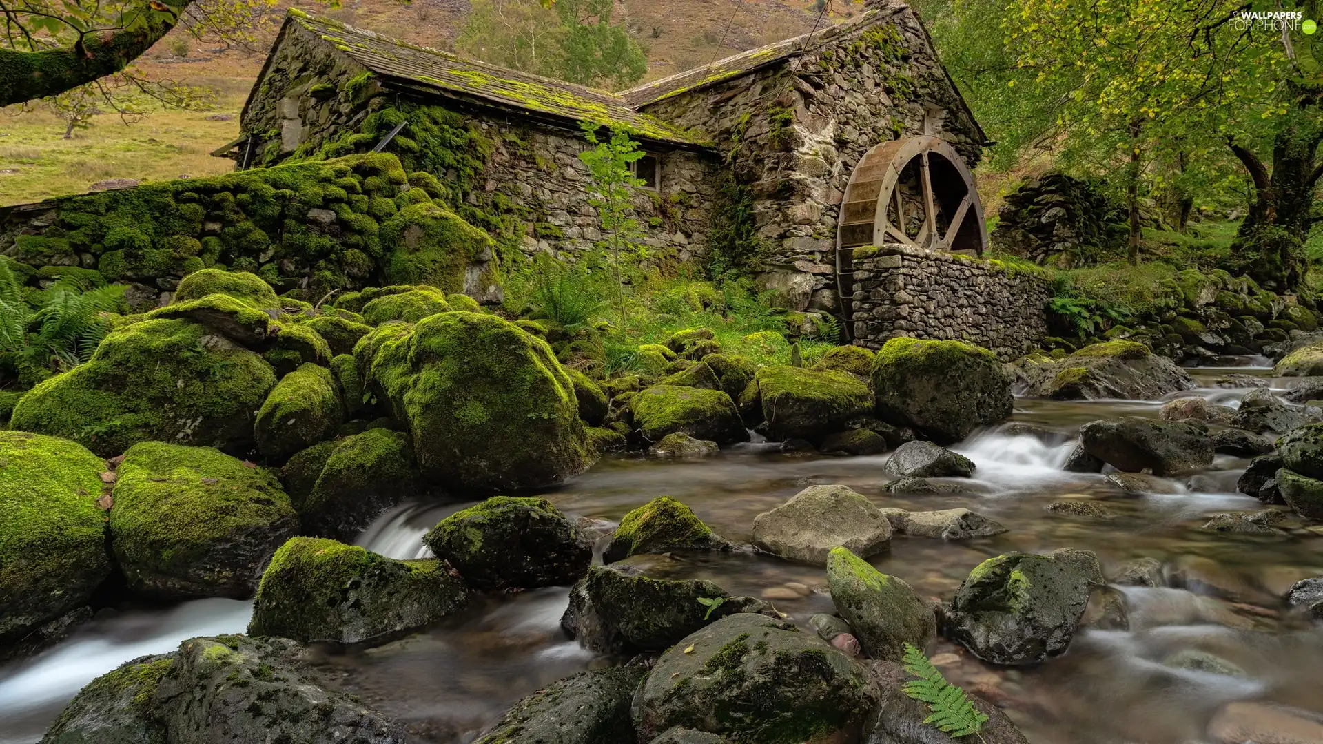 Stones, Watermill, Cumbria, mossy, River, Borrowdale, England